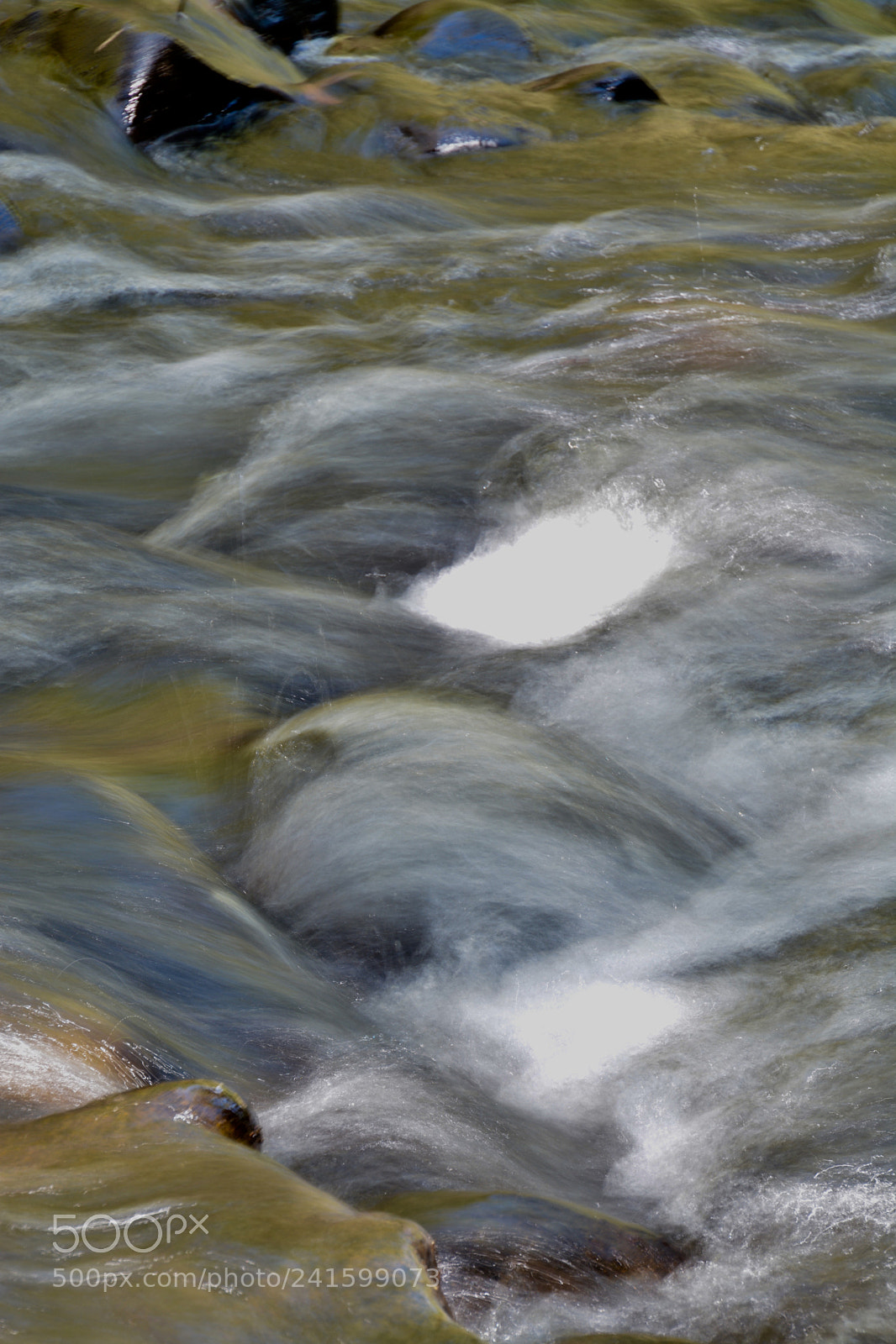 Nikon D7100 sample photo. Untitled photography
