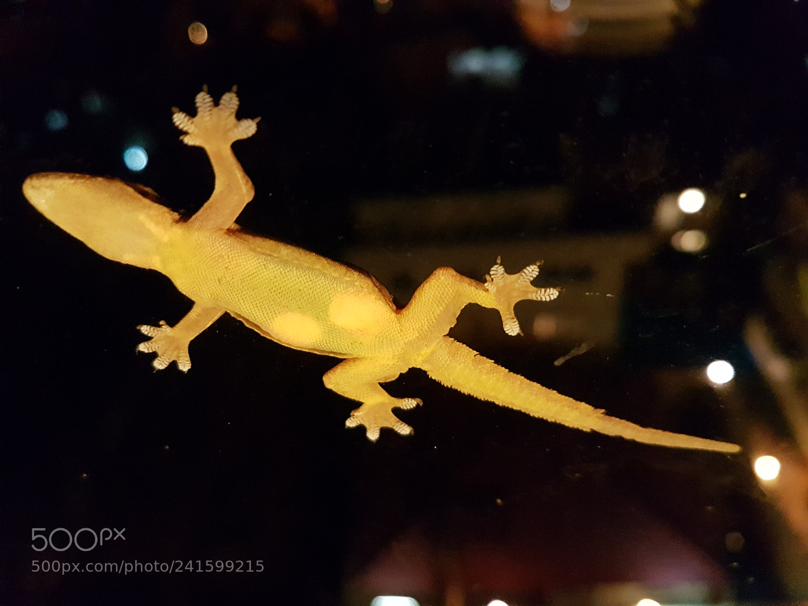 Samsung Galaxy S7 Edge sample photo. Untitled photography