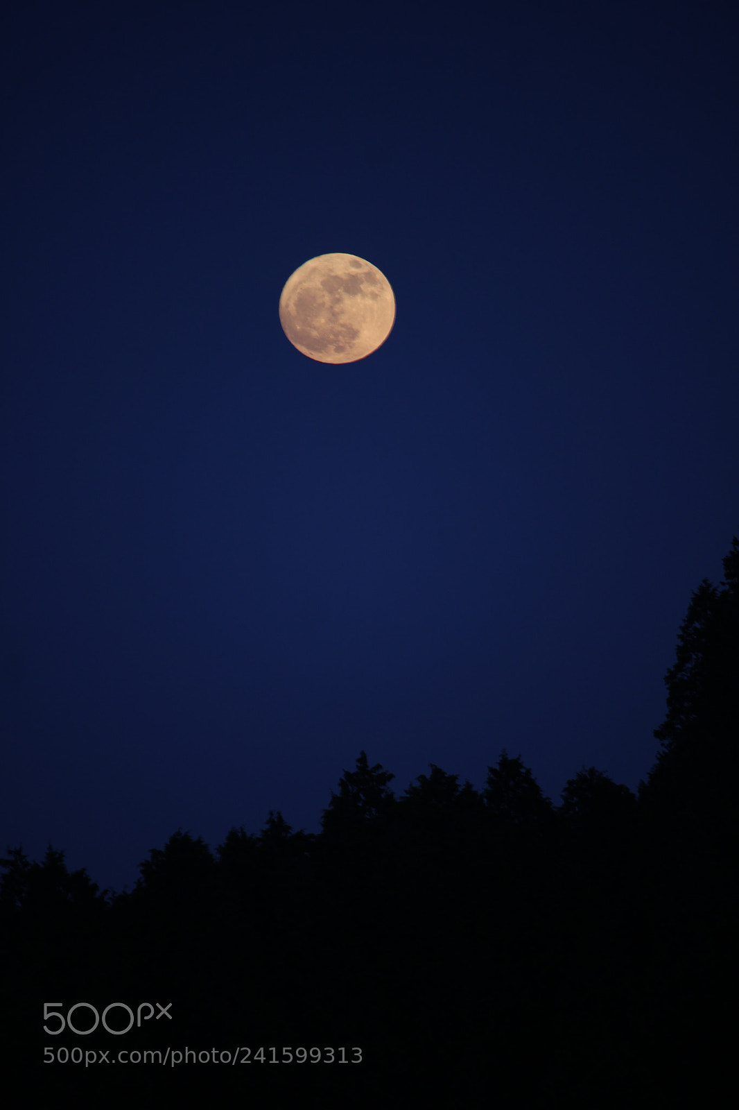 Canon EOS 550D (EOS Rebel T2i / EOS Kiss X4) sample photo. New moon photography