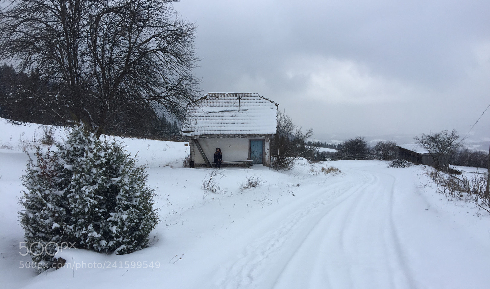 Apple iPhone 6 Plus sample photo. Winter 2016 photography