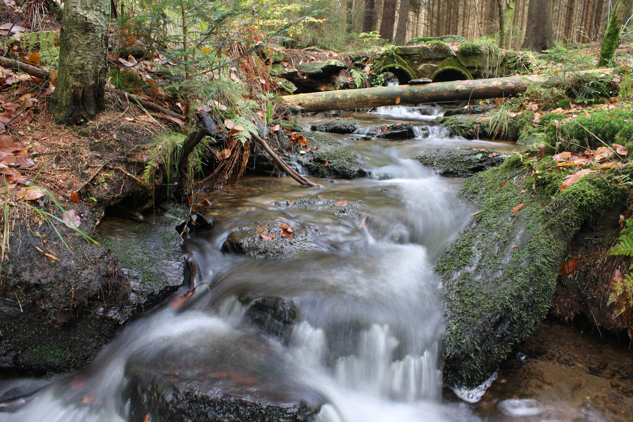 Canon EF-S 18-55mm F3.5-5.6 IS sample photo. Wasser photography