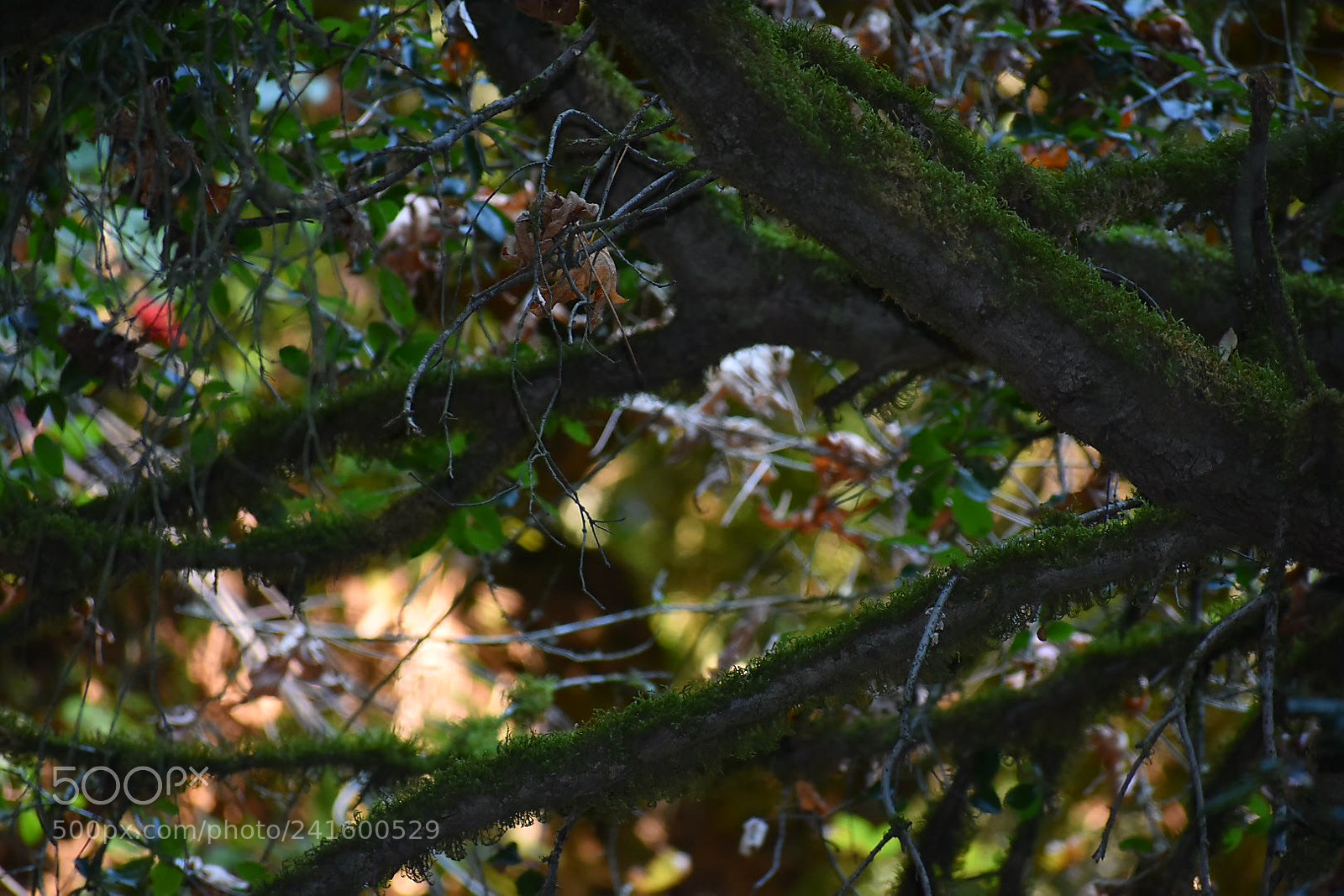 Nikon D3400 sample photo. What lies ahead photography