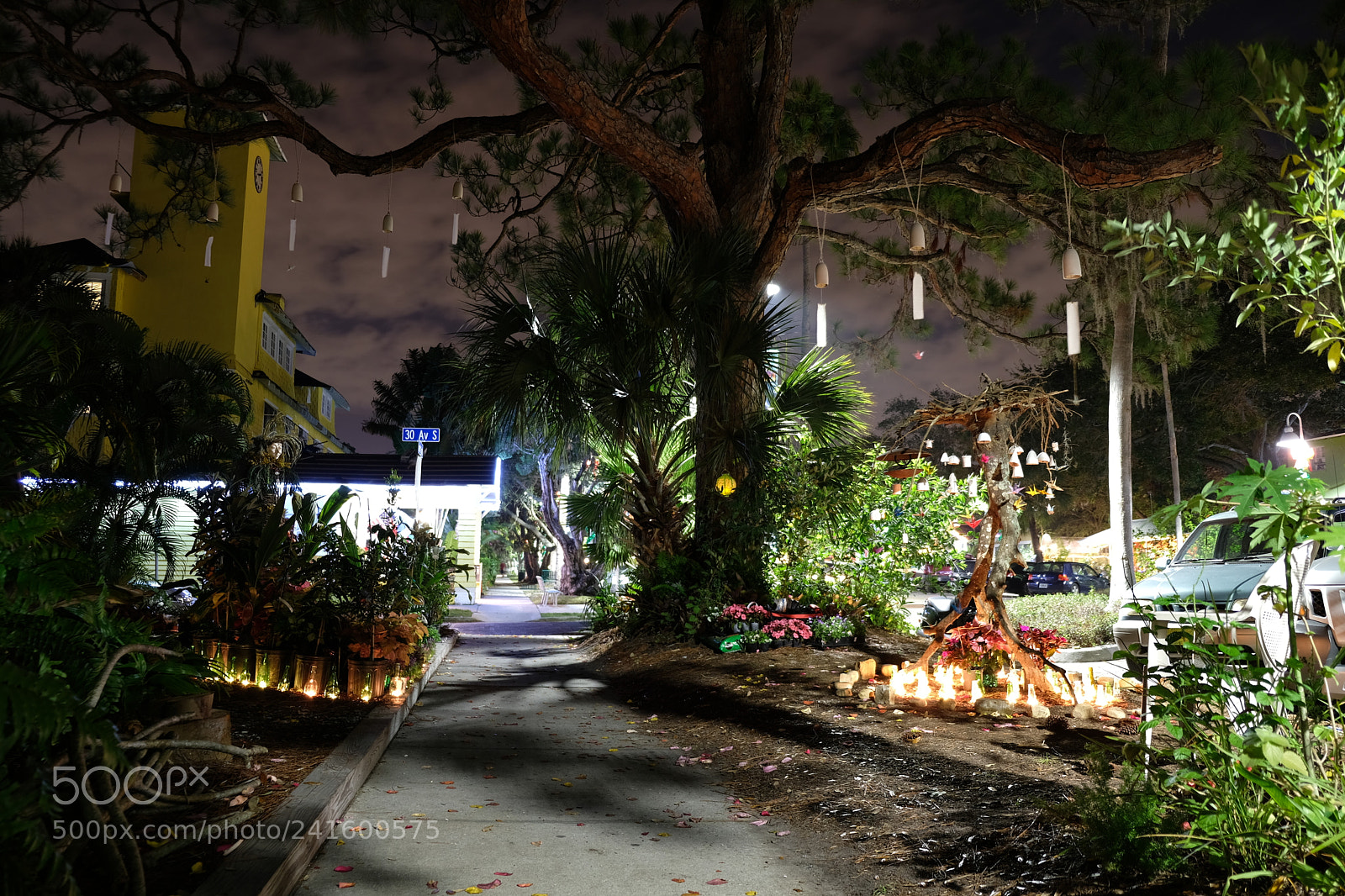 Fujifilm X-E3 sample photo. Bells on tree at photography