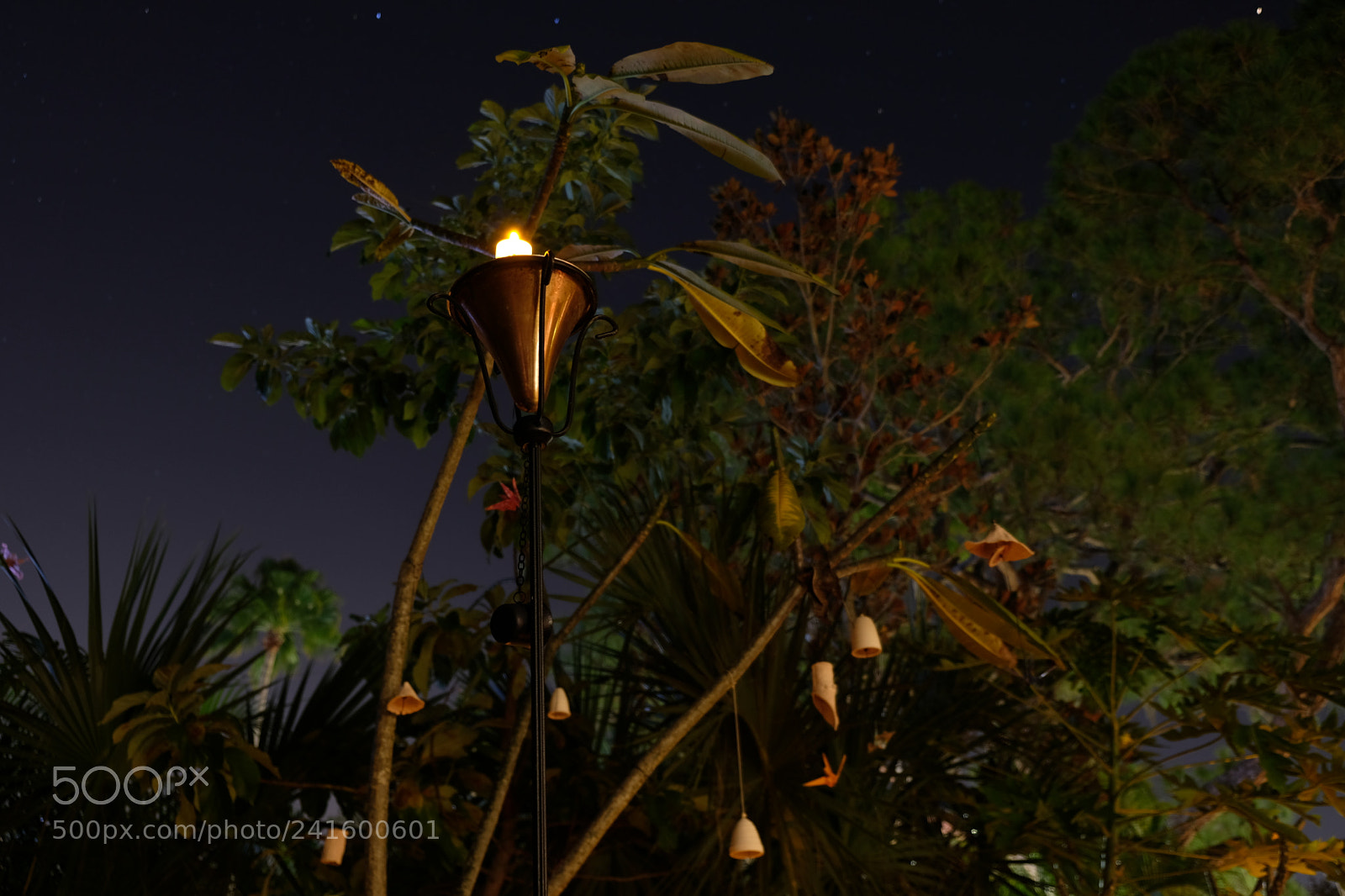 Fujifilm X-E3 sample photo. Light in garden photography