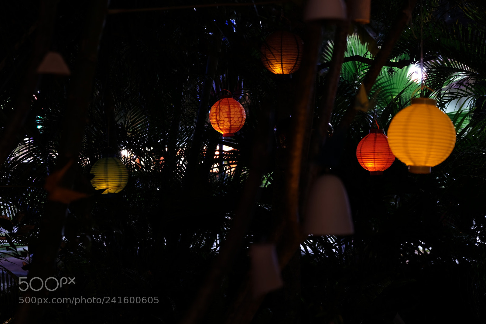 Fujifilm X-E3 sample photo. Lights in garden photography
