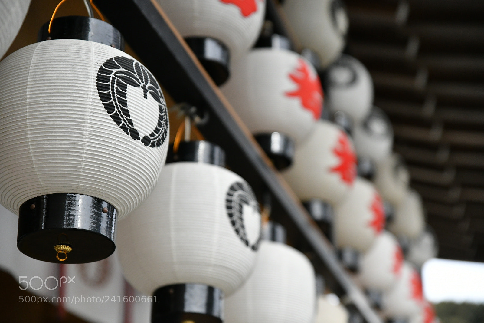 Nikon D850 sample photo. Untitled photography