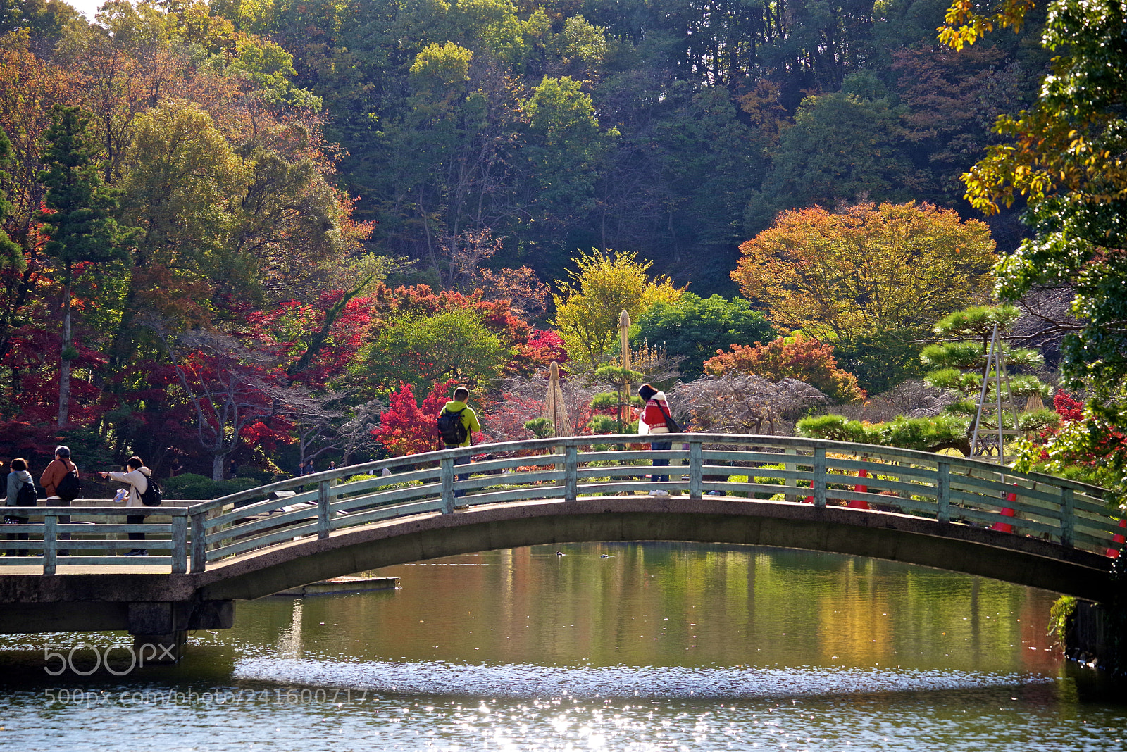 Pentax K-1 sample photo. Bridge in autumn photography