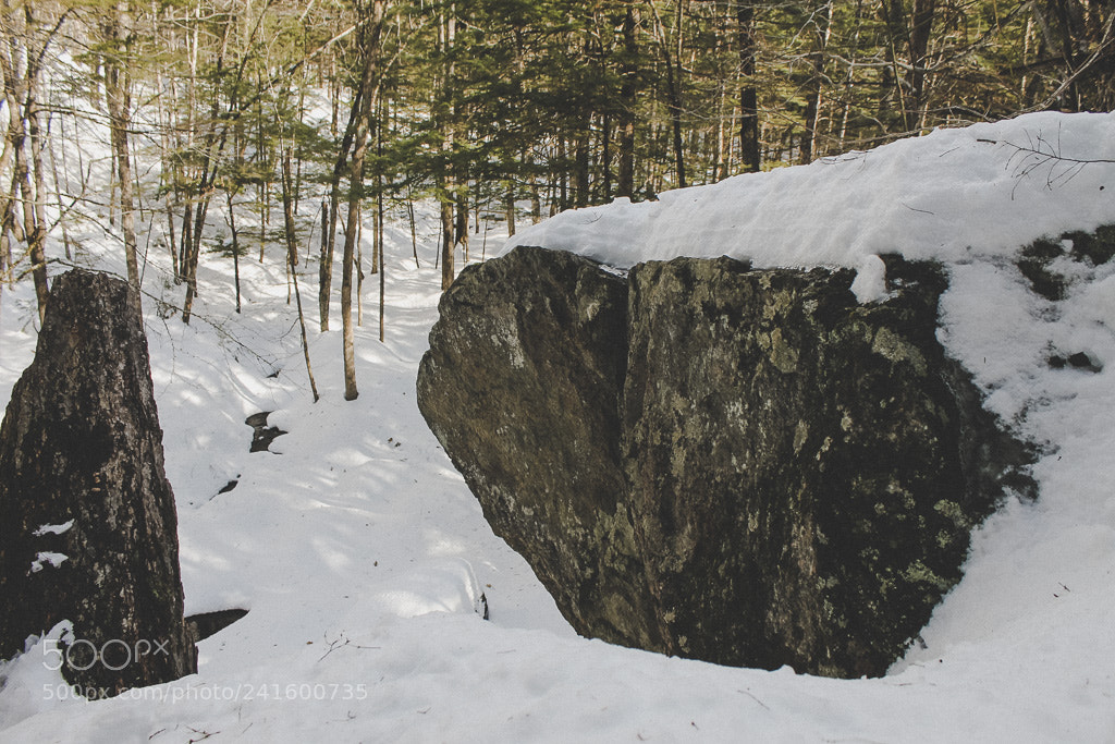 Canon EOS 1100D (EOS Rebel T3 / EOS Kiss X50) sample photo. Snowy rock photography