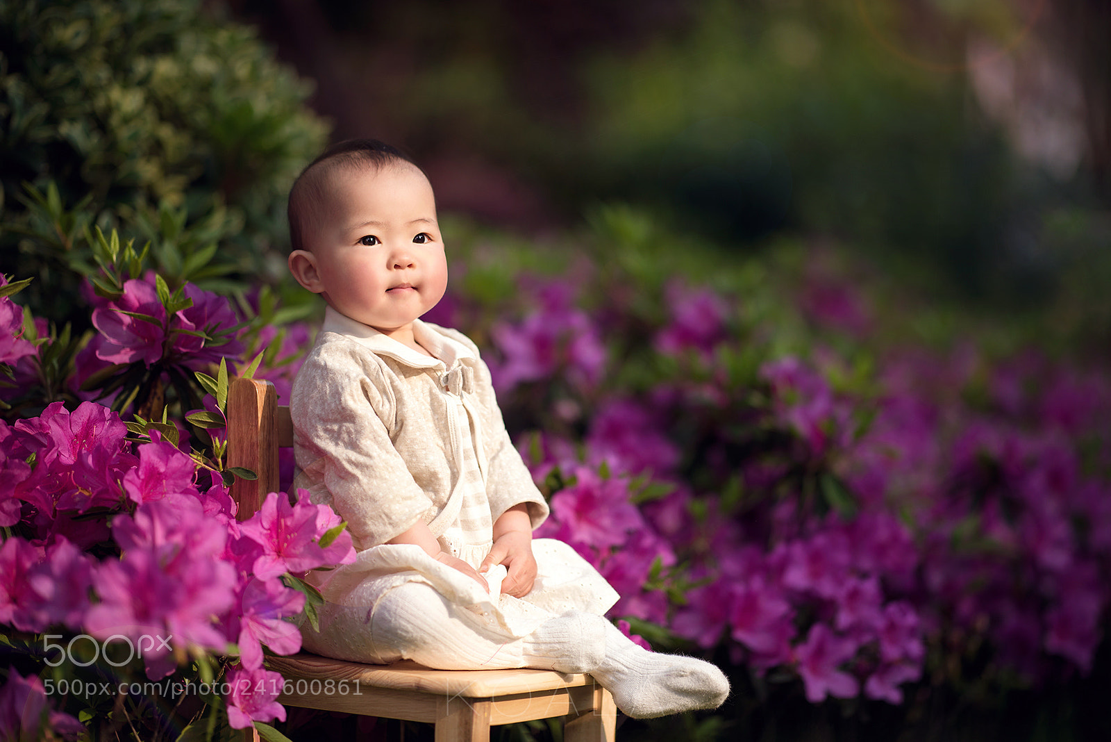 Nikon D810 sample photo. 待到山花烂漫时，她在丛中笑 photography