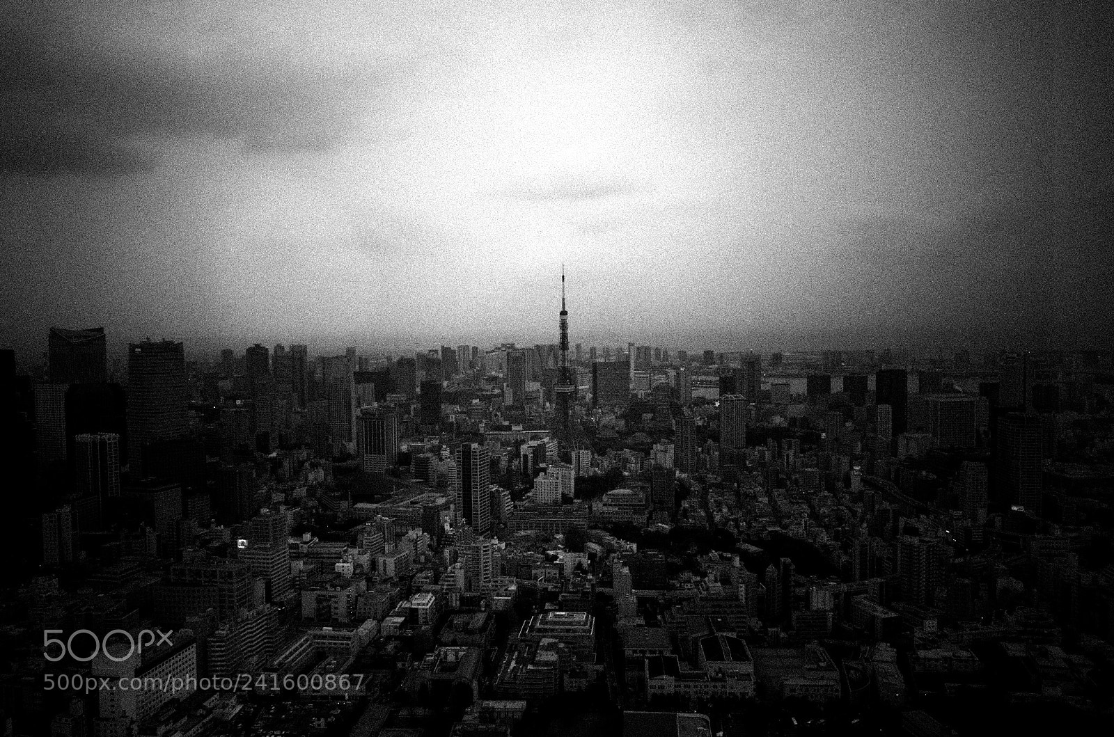 Ricoh GR II sample photo. Untitled photography