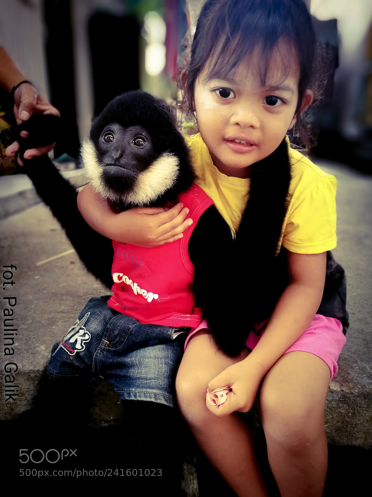 HUAWEI P9 sample photo. Untitled photography