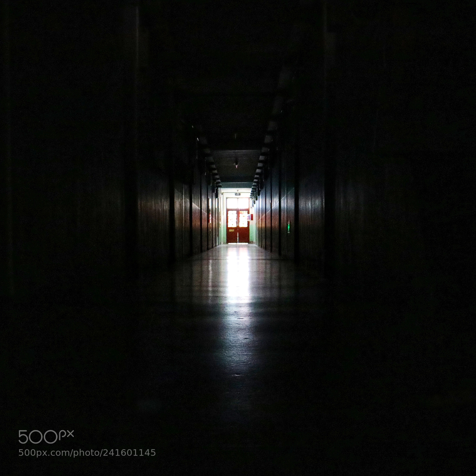 Canon EOS M3 sample photo. Light photography