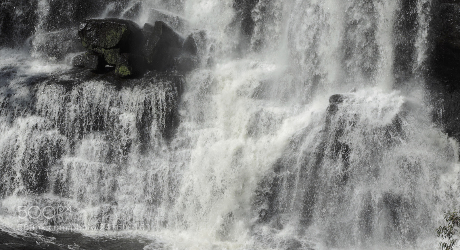 Nikon Coolpix P520 sample photo. The wet season photography