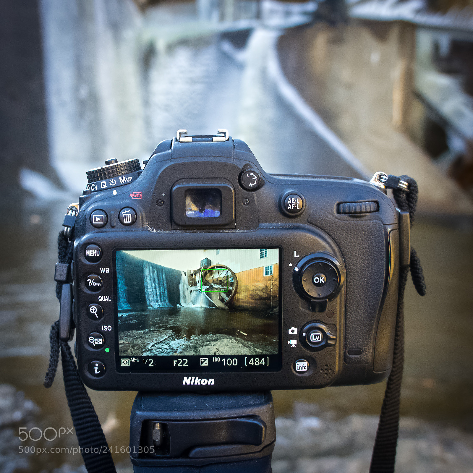 Sony Alpha NEX-5 sample photo. Picture in a picture photography