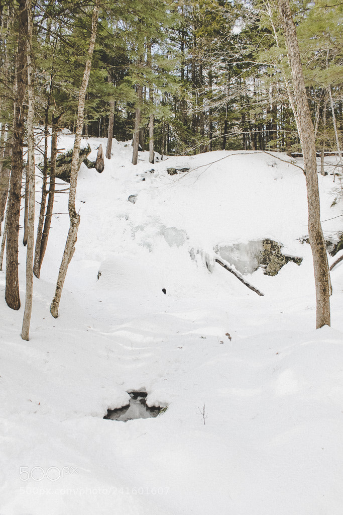 Canon EOS 1100D (EOS Rebel T3 / EOS Kiss X50) sample photo. Snowy adventure photography