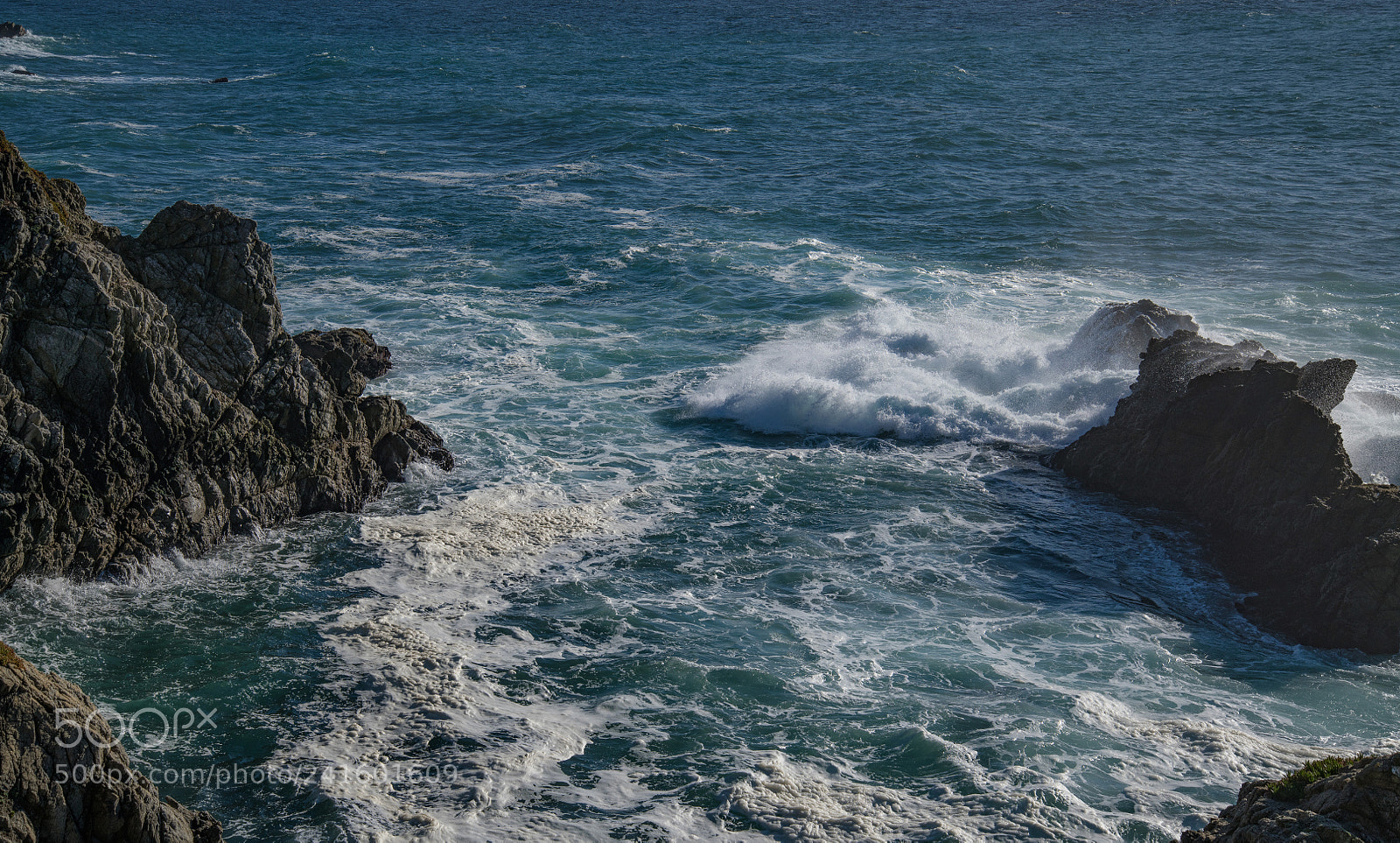 Nikon D850 sample photo. Bodega head photography