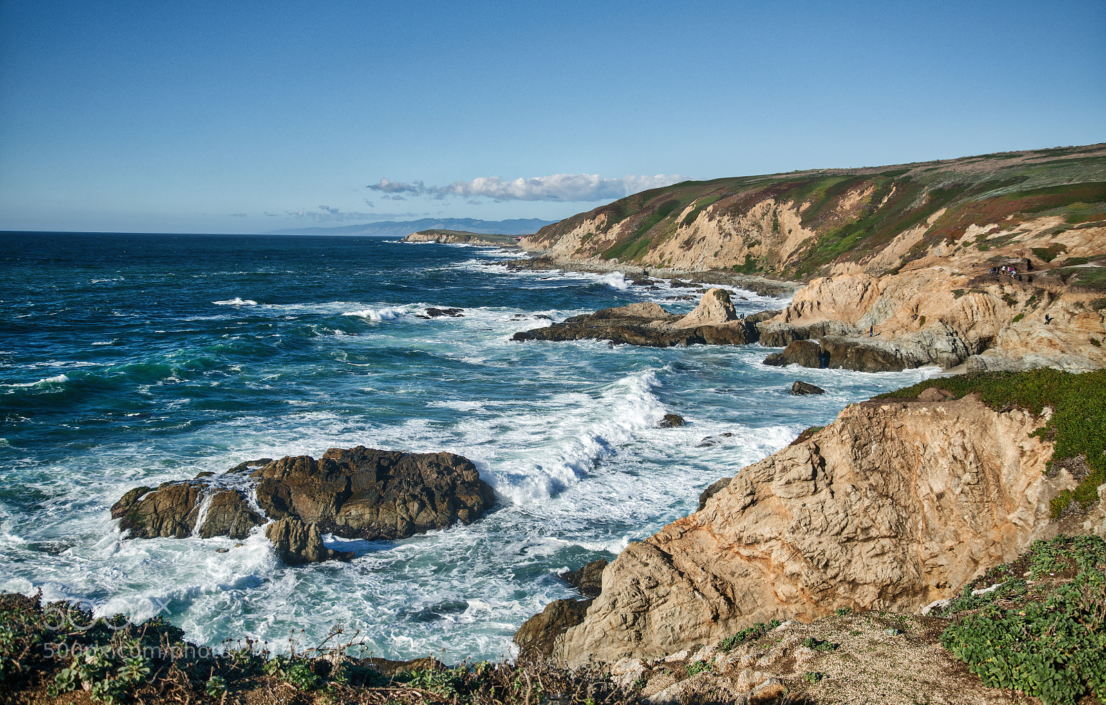 Nikon D850 sample photo. Bodega head photography
