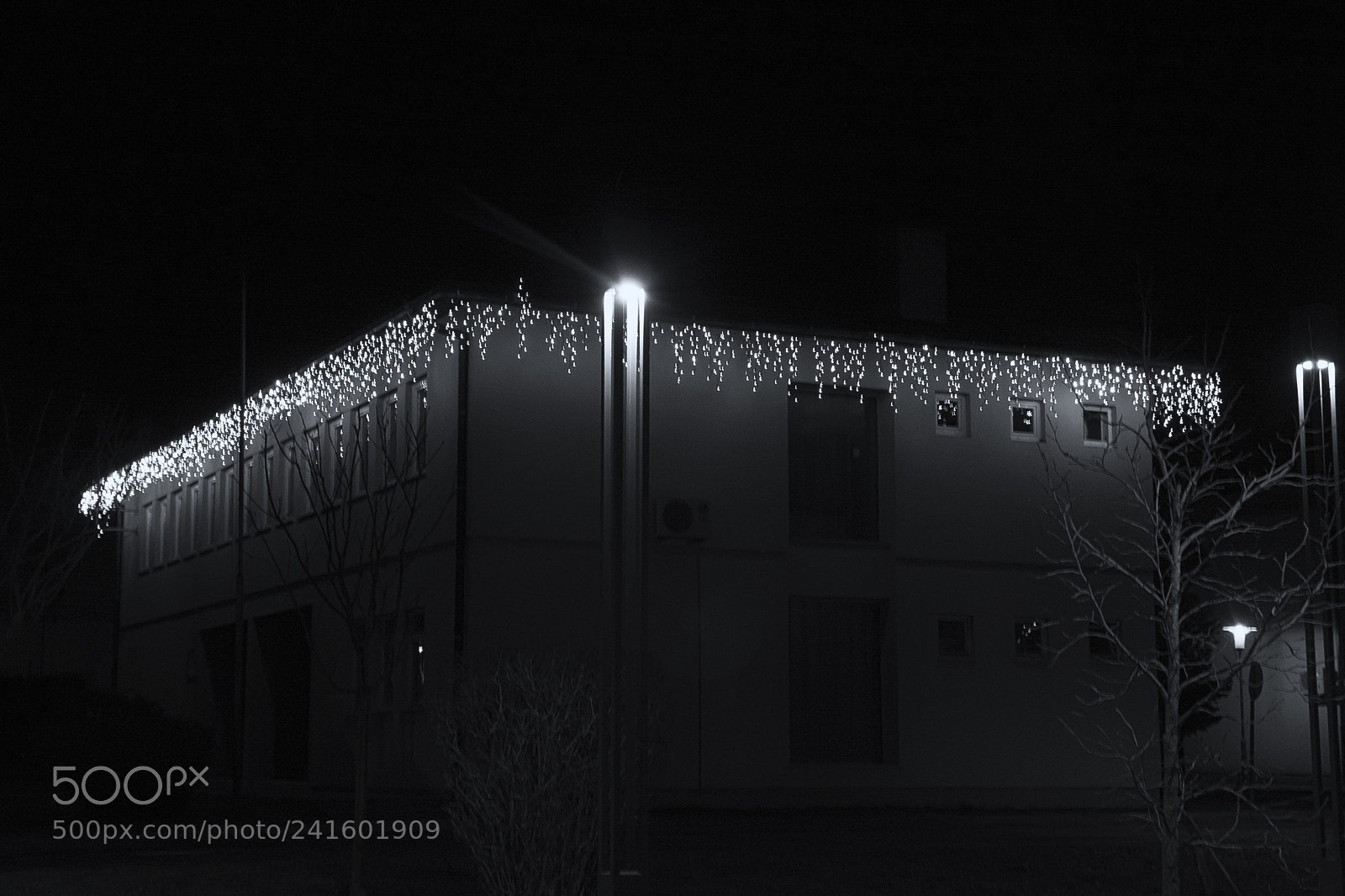 Canon EOS 40D sample photo. Leaking light photography