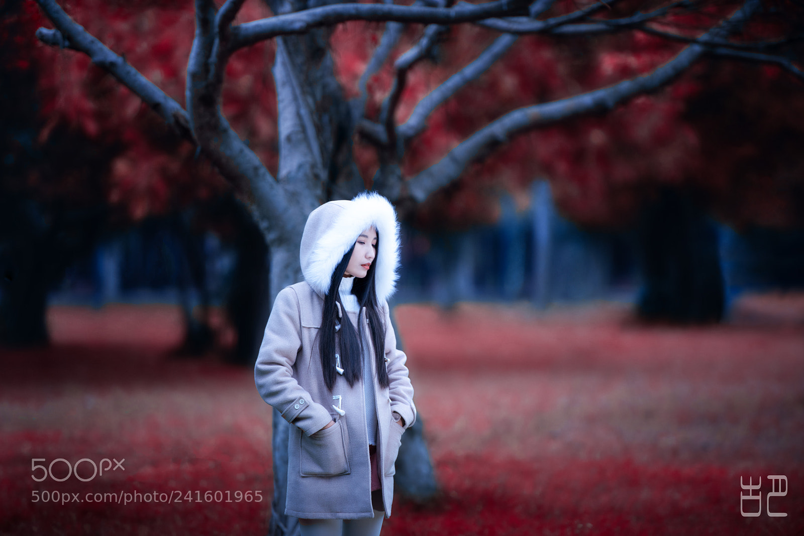 Nikon D810 sample photo. 红颜 photography