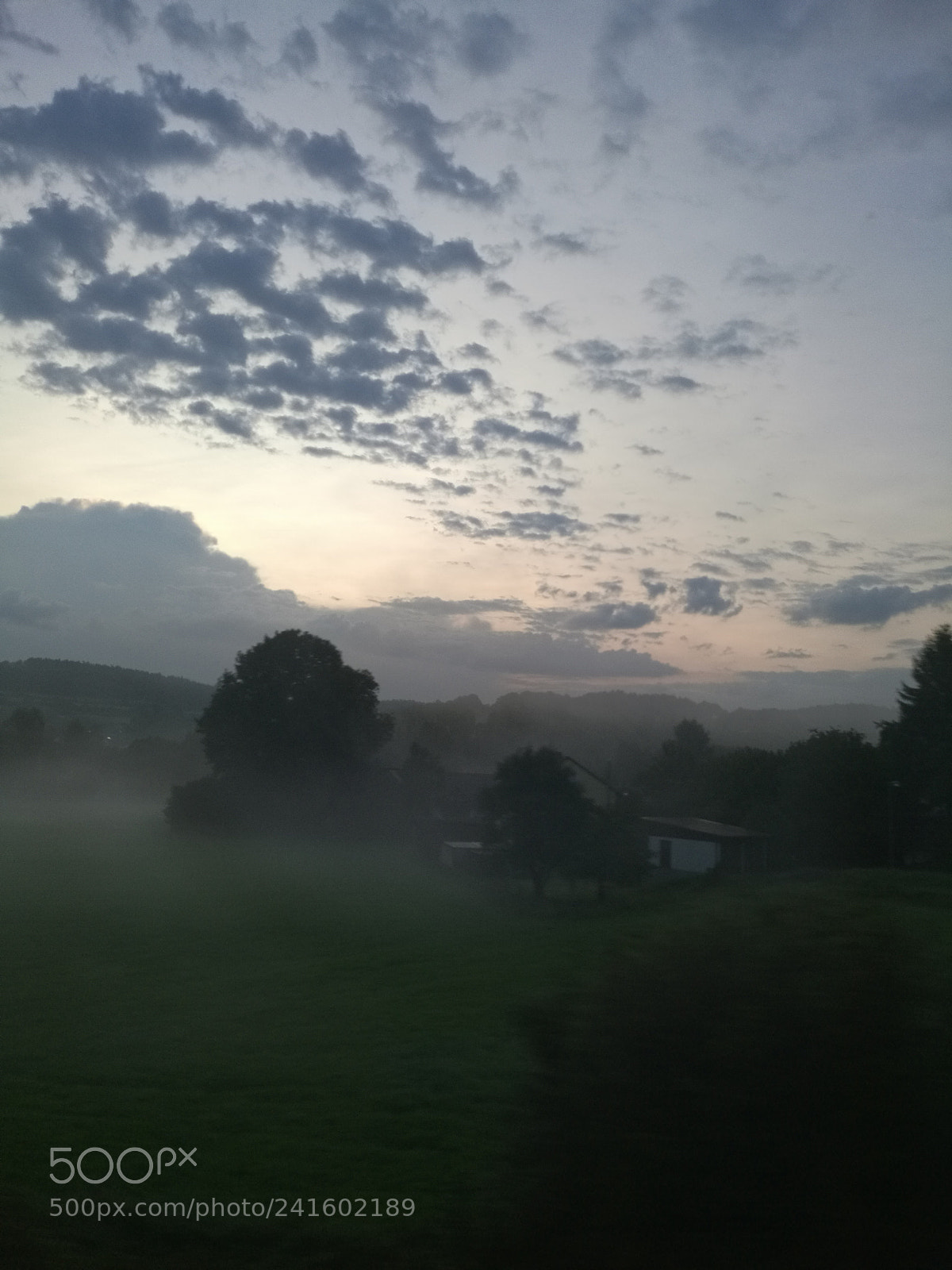 HUAWEI Mate 8 sample photo. Sunrise from forest photography