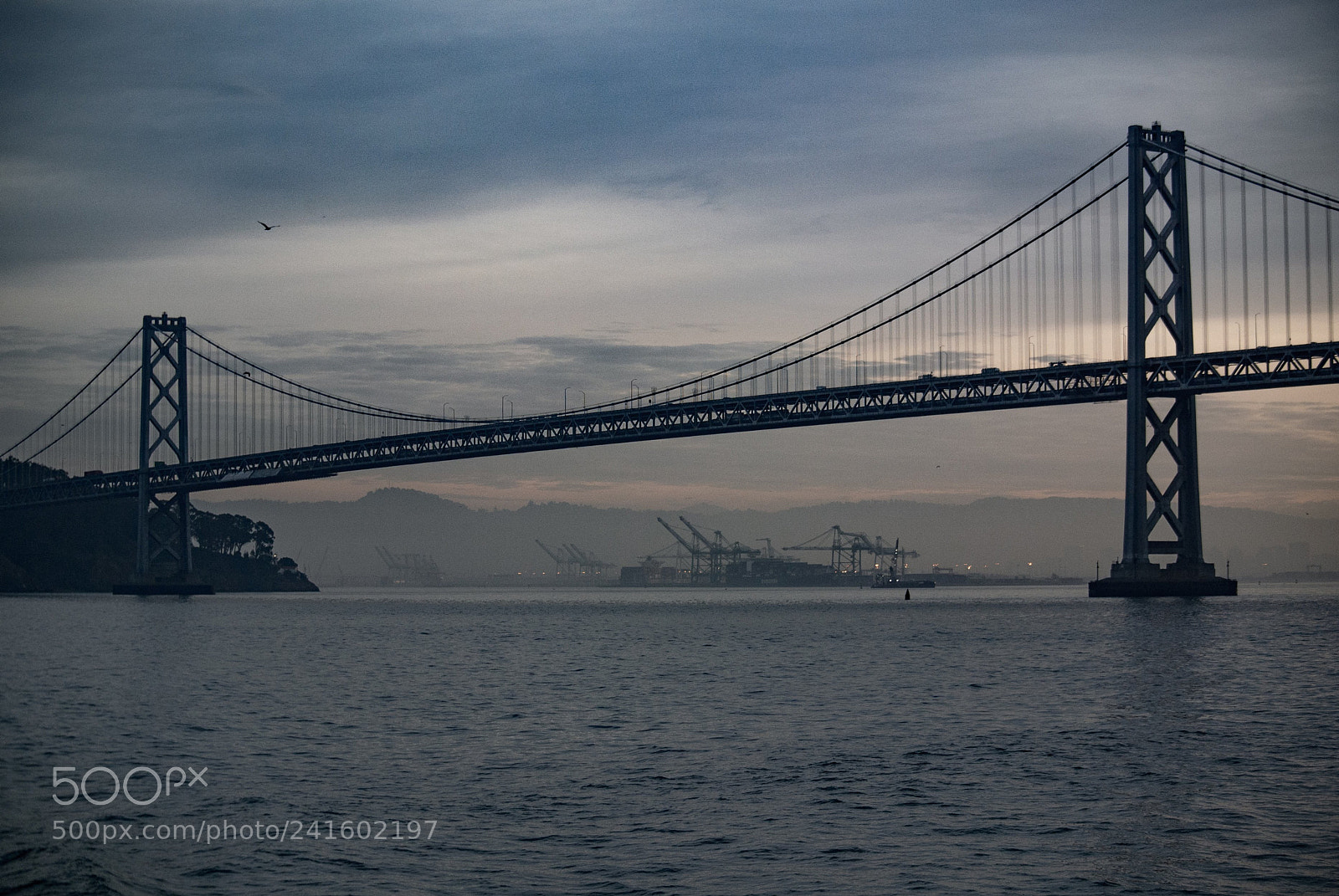 Nikon 1 J1 sample photo. Bridge photography