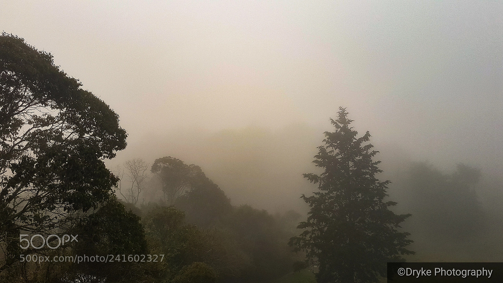 Samsung Galaxy S7 sample photo. Morning fog photography