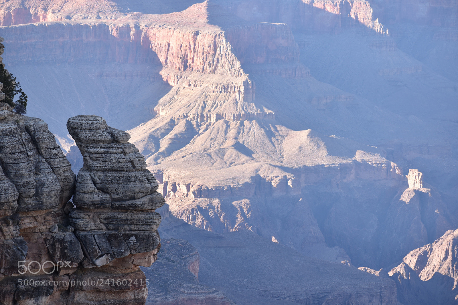 Nikon D5600 sample photo. Grand canyon south rim photography