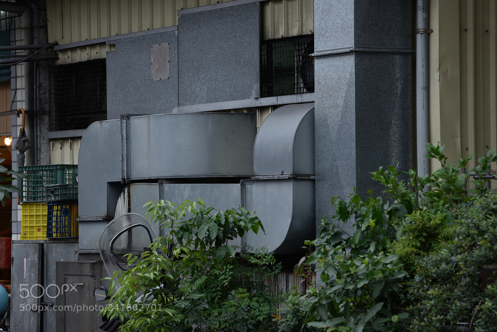 Nikon D600 sample photo. Untitled photography