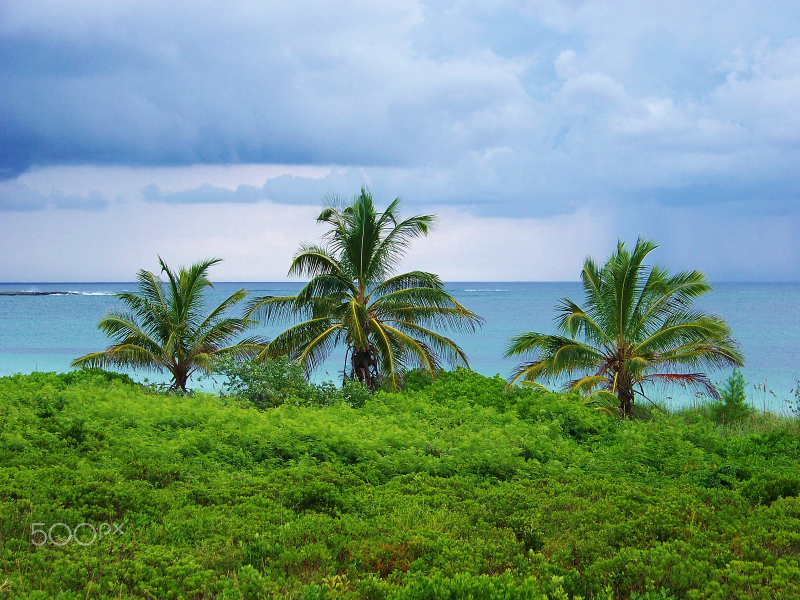 Kodak Z712 IS ZOOM DIGITAL CAMERA sample photo. Ocean rain photography