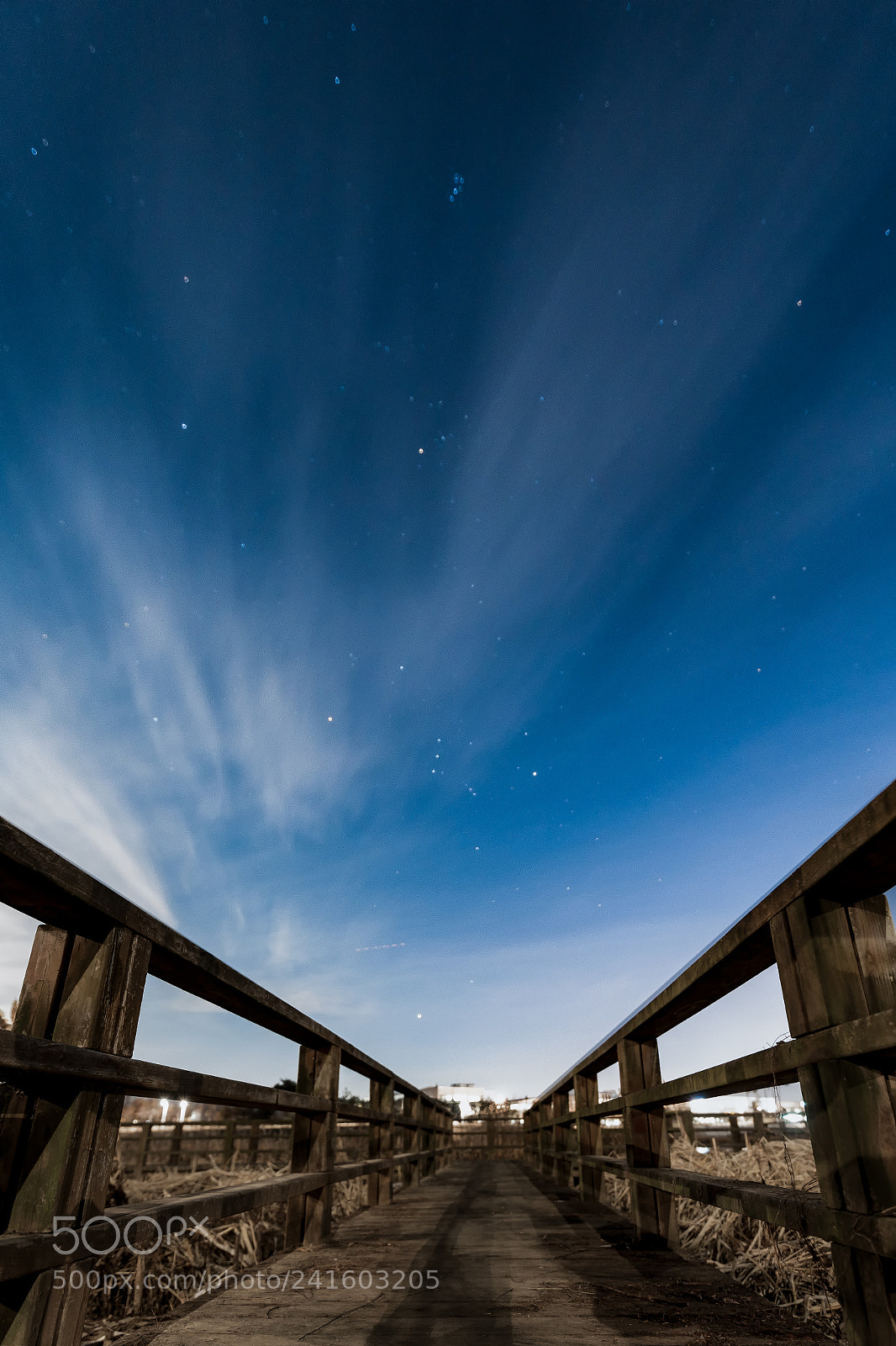 Nikon D3X sample photo. 夜 photography