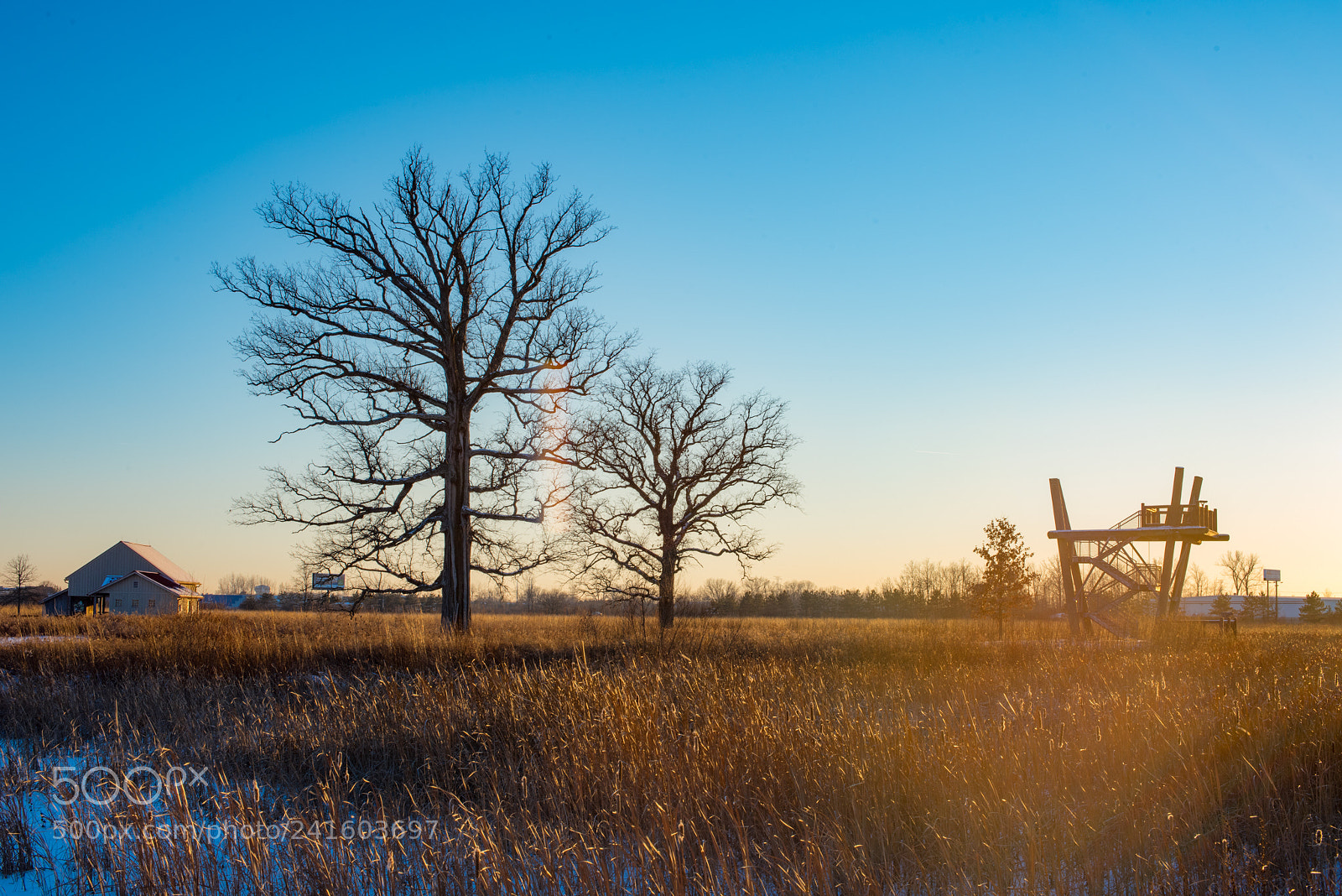 Nikon D810 sample photo. Glacier ridge park photography