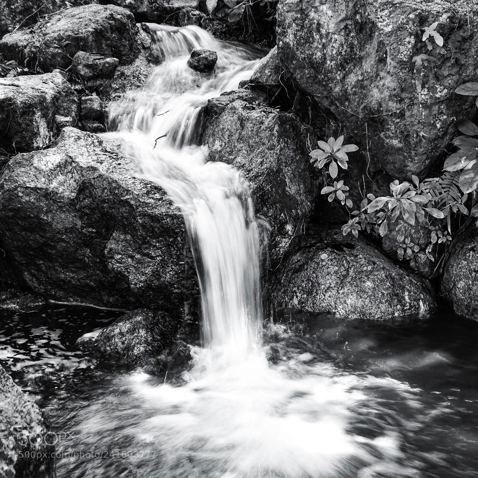 Sony a5100 sample photo. B&w mood photography