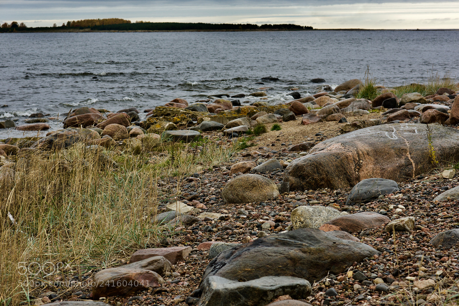 Nikon D810 sample photo. Disturbing beach photography