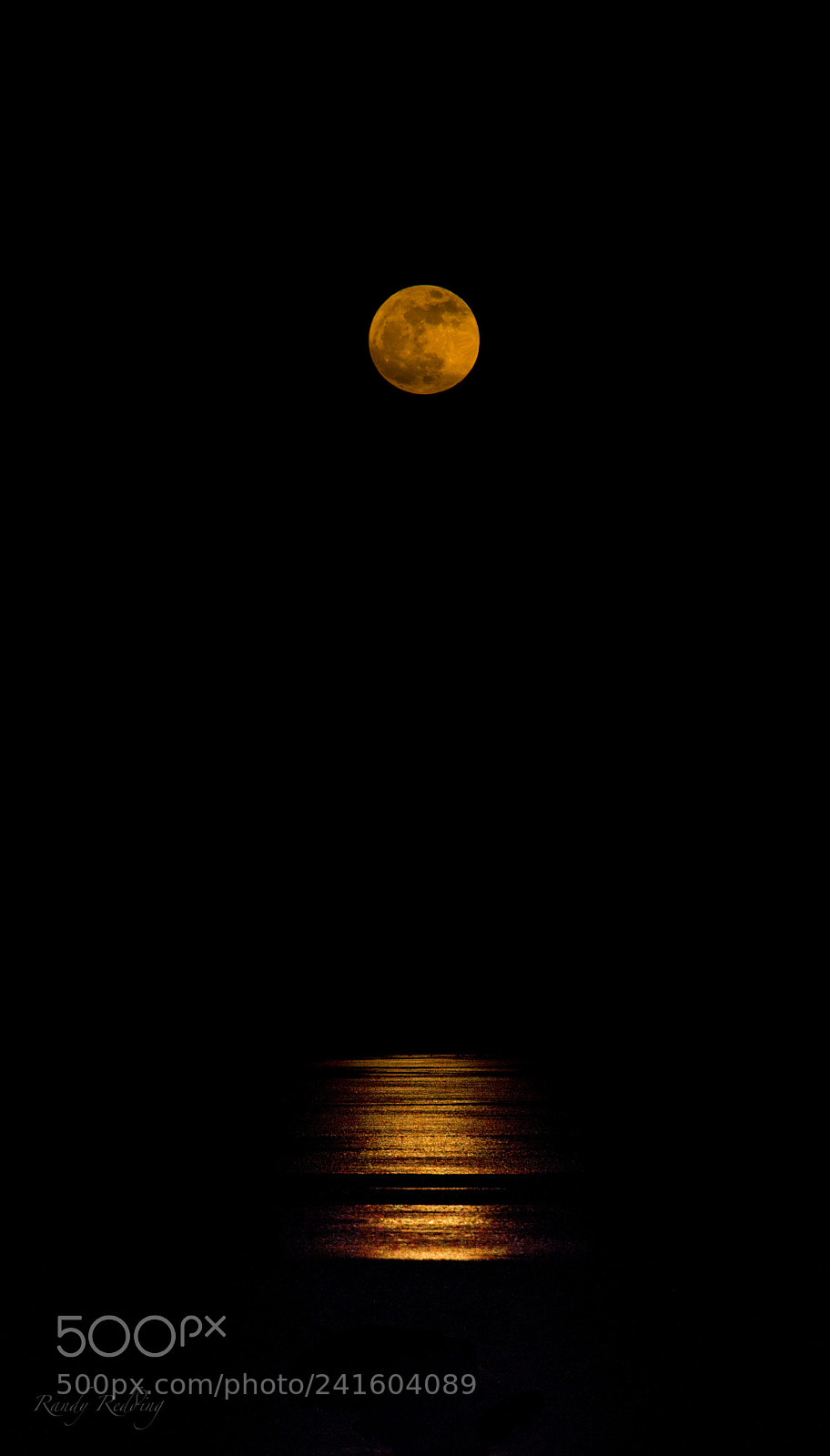 Nikon D810 sample photo. Supermoon rise @ tomales bay photography