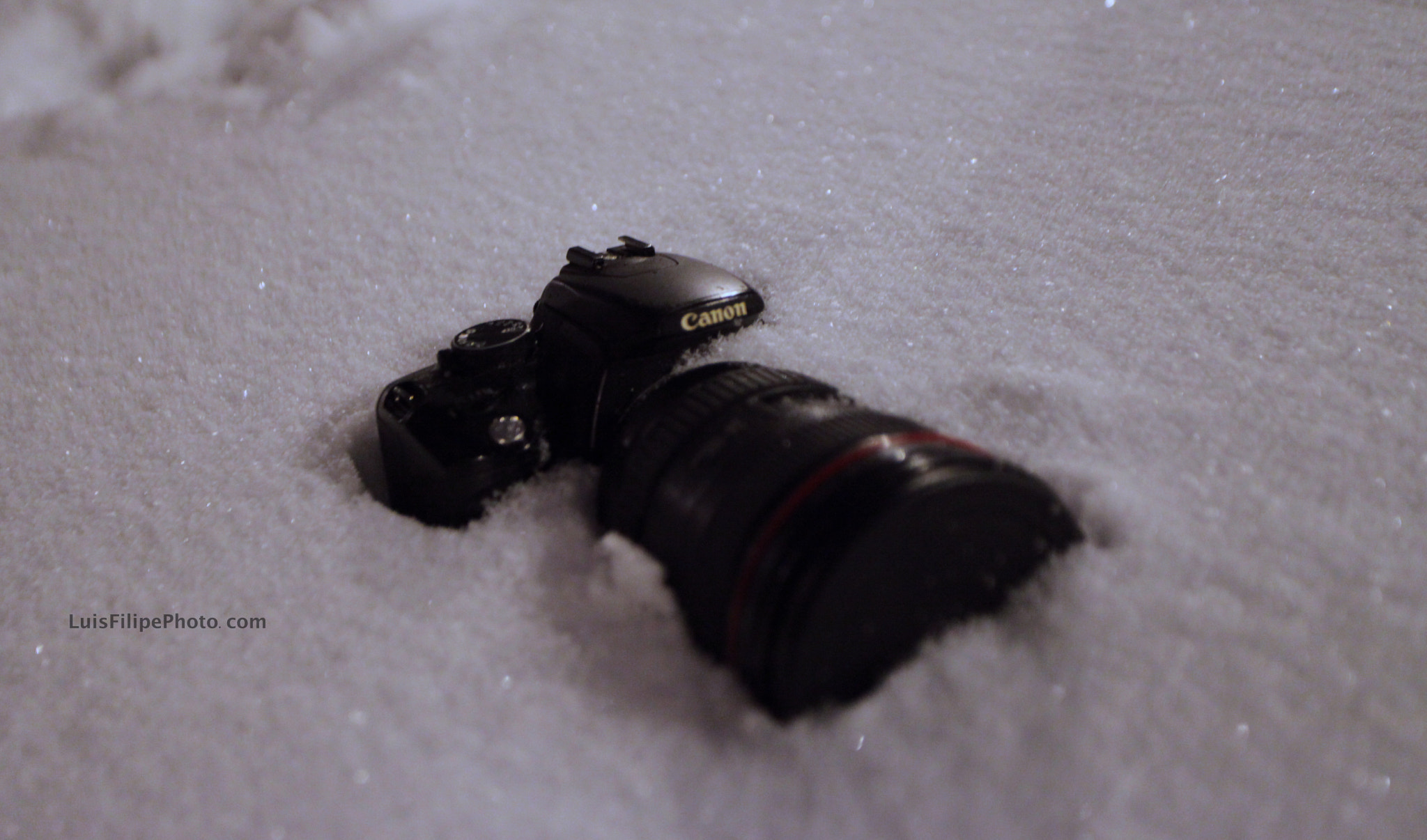 Canon EOS 5D Mark II + Canon EF 17-40mm F4L USM sample photo. Luis filipe photo com canon camara fotos photography