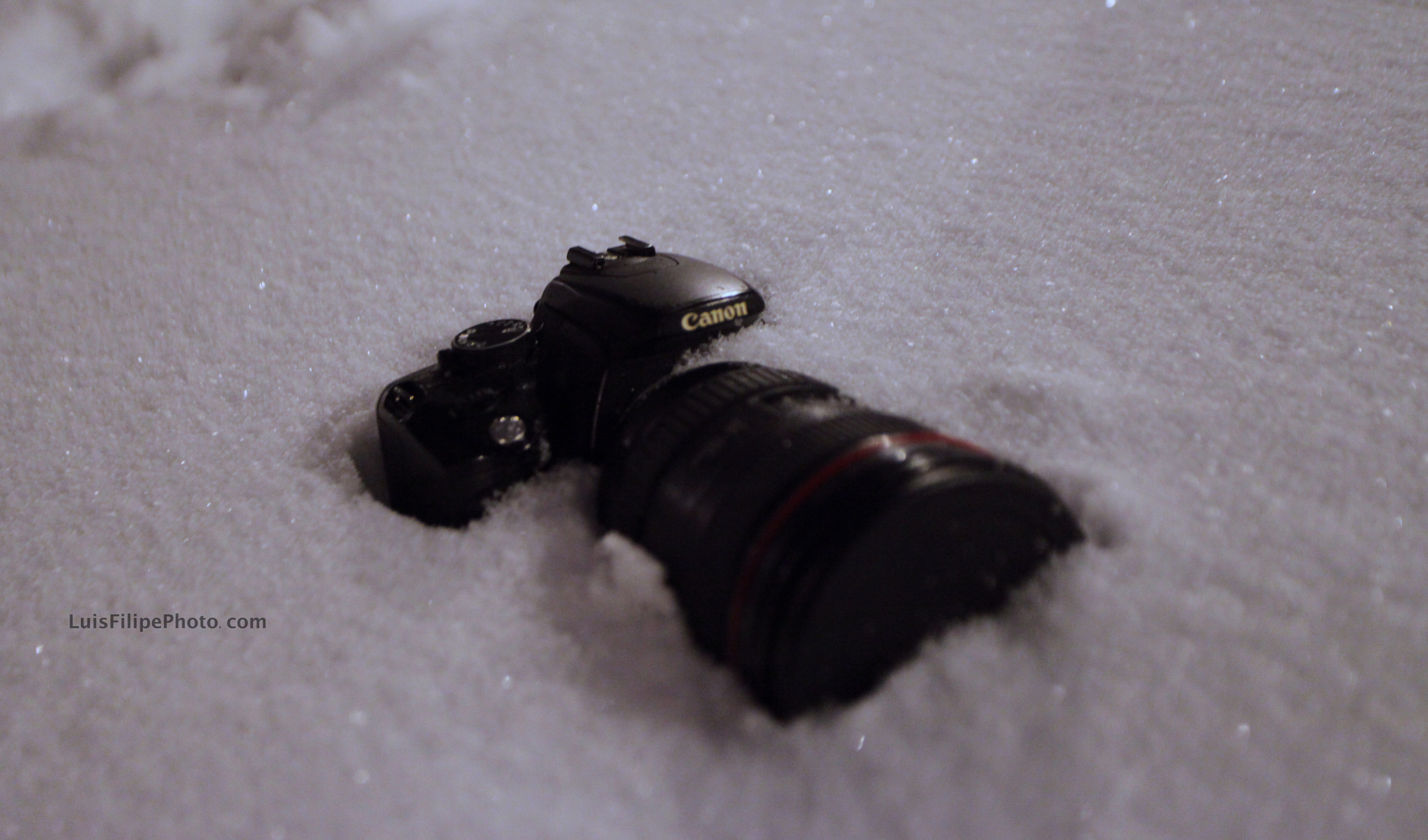 Canon EF 17-40mm F4L USM sample photo. Luis filipe photo com canon camara fotos photography
