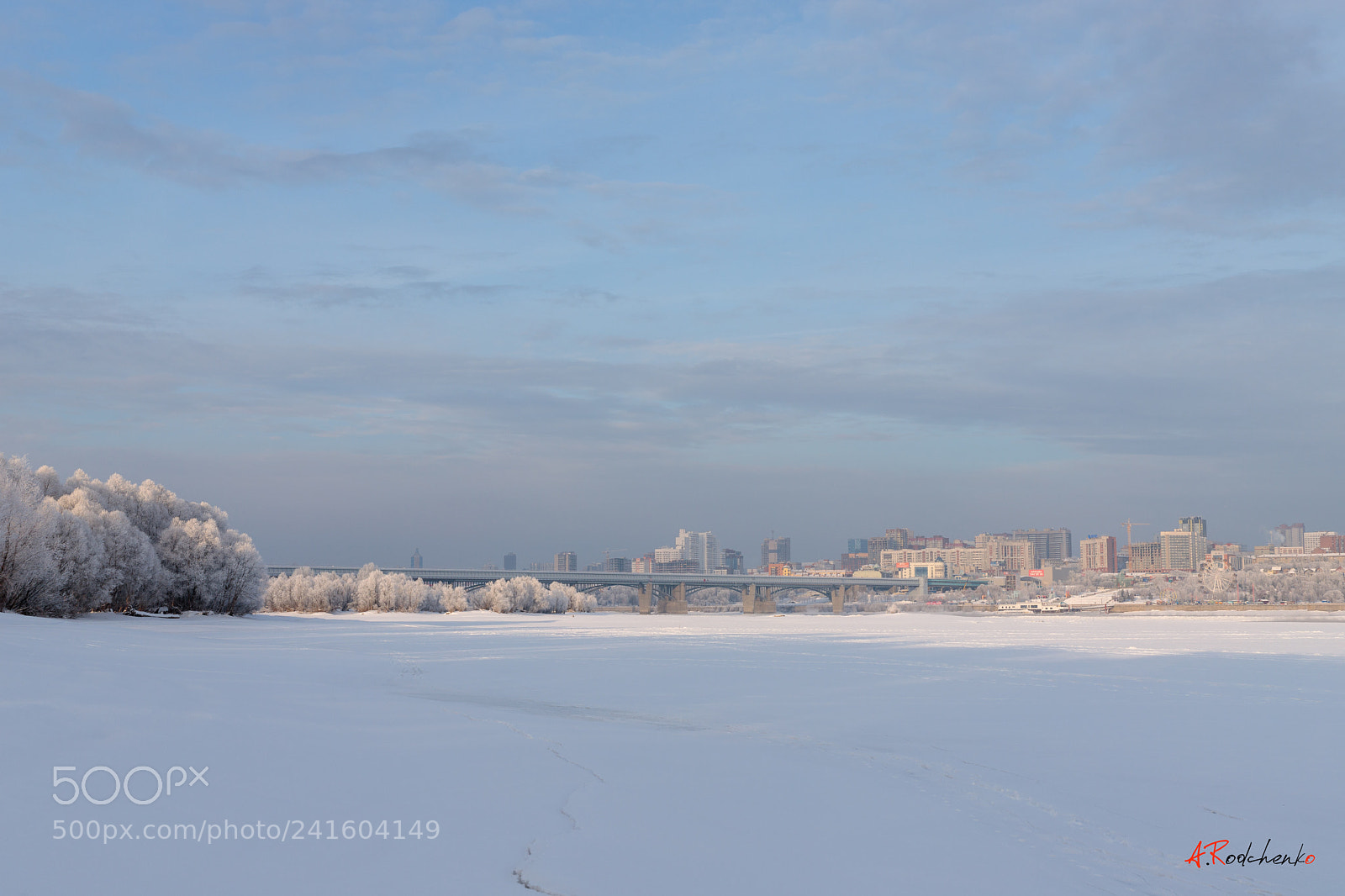Canon EOS 6D Mark II sample photo. Frost and snow city photography