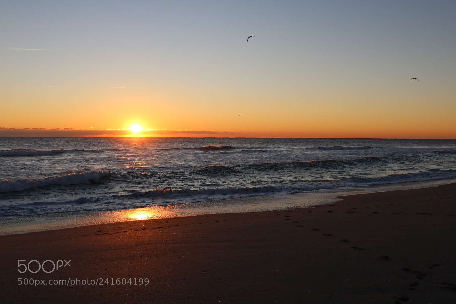 Canon EOS 750D (EOS Rebel T6i / EOS Kiss X8i) sample photo. Morning rise photography
