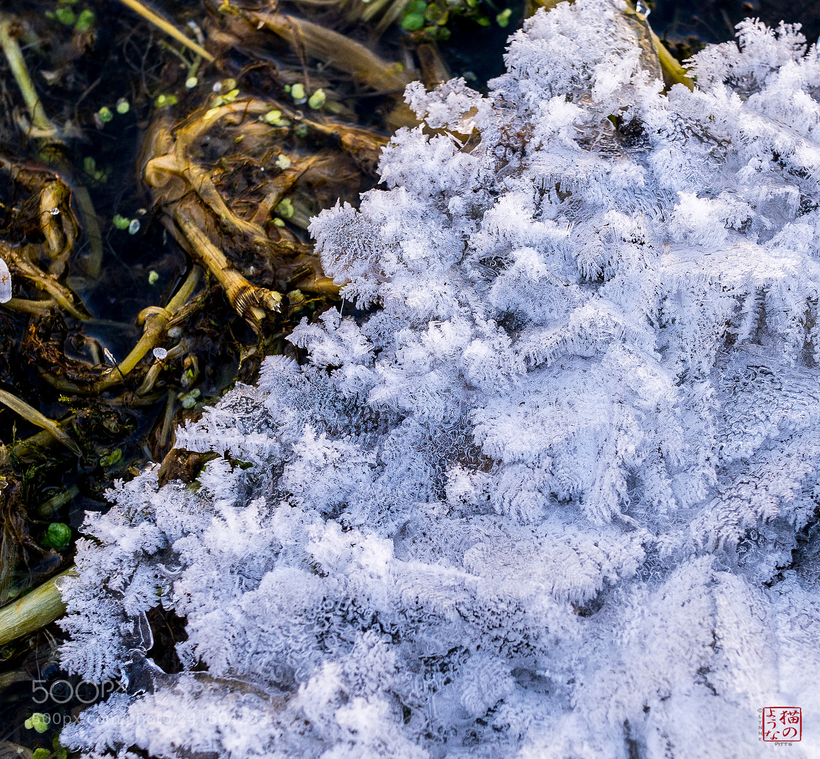 Sony a7 sample photo. Contrasting methods photography