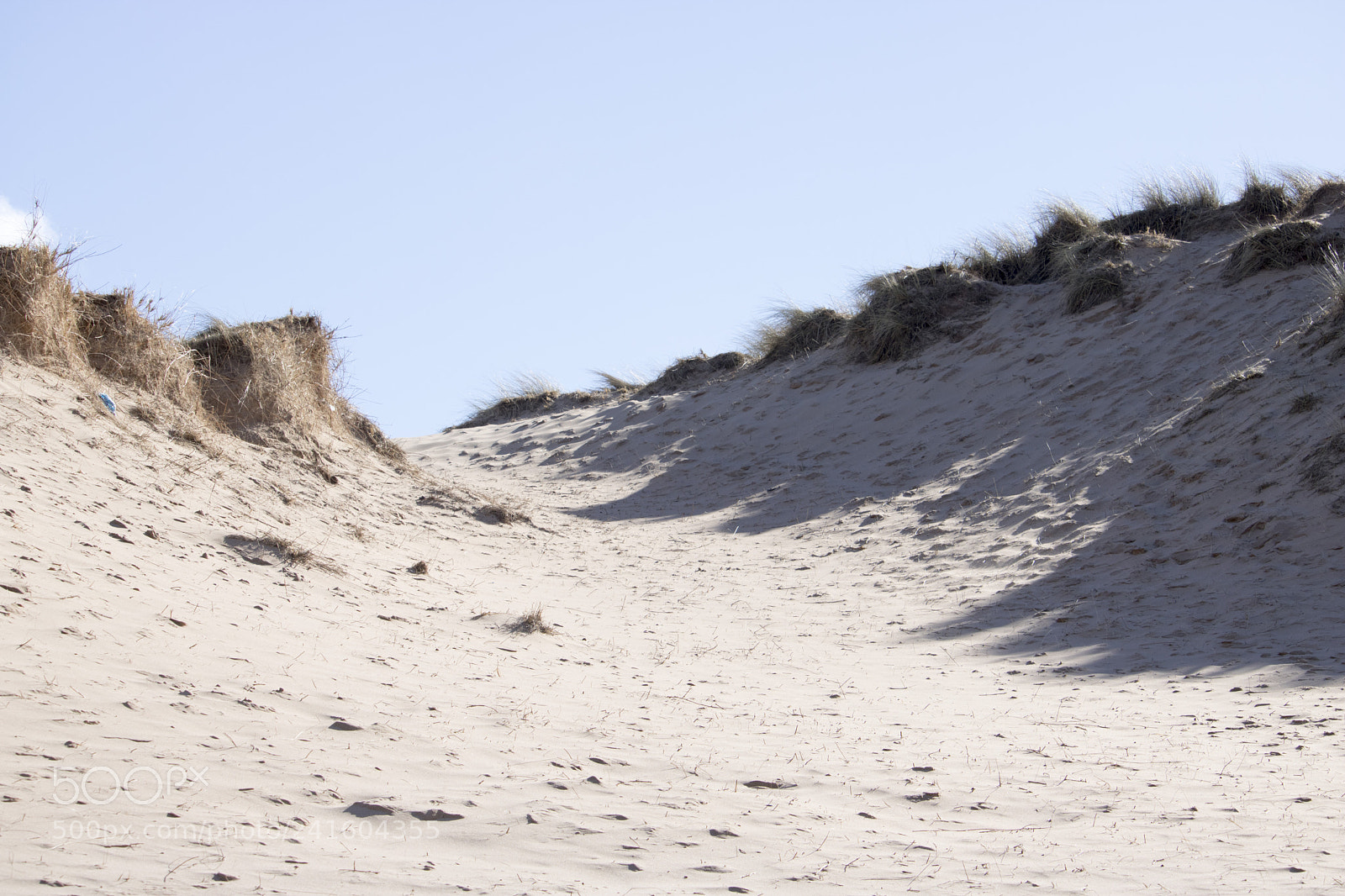 Canon EOS 750D (EOS Rebel T6i / EOS Kiss X8i) sample photo. Grassy sand dunes in photography