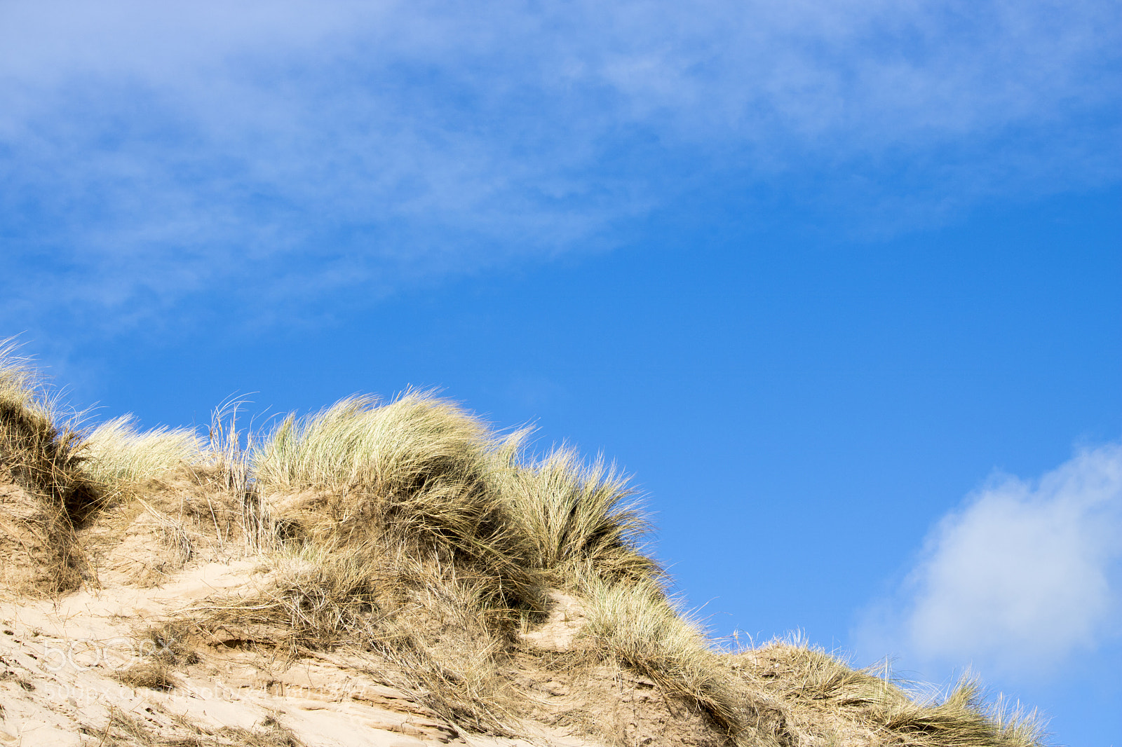 Canon EOS 750D (EOS Rebel T6i / EOS Kiss X8i) sample photo. Grassy sand dunes in photography