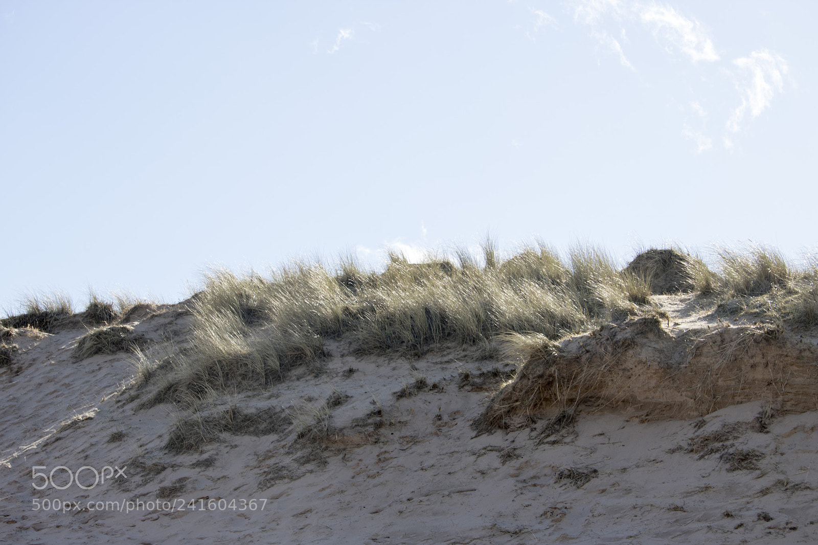 Canon EOS 750D (EOS Rebel T6i / EOS Kiss X8i) sample photo. Grassy sand dunes in photography