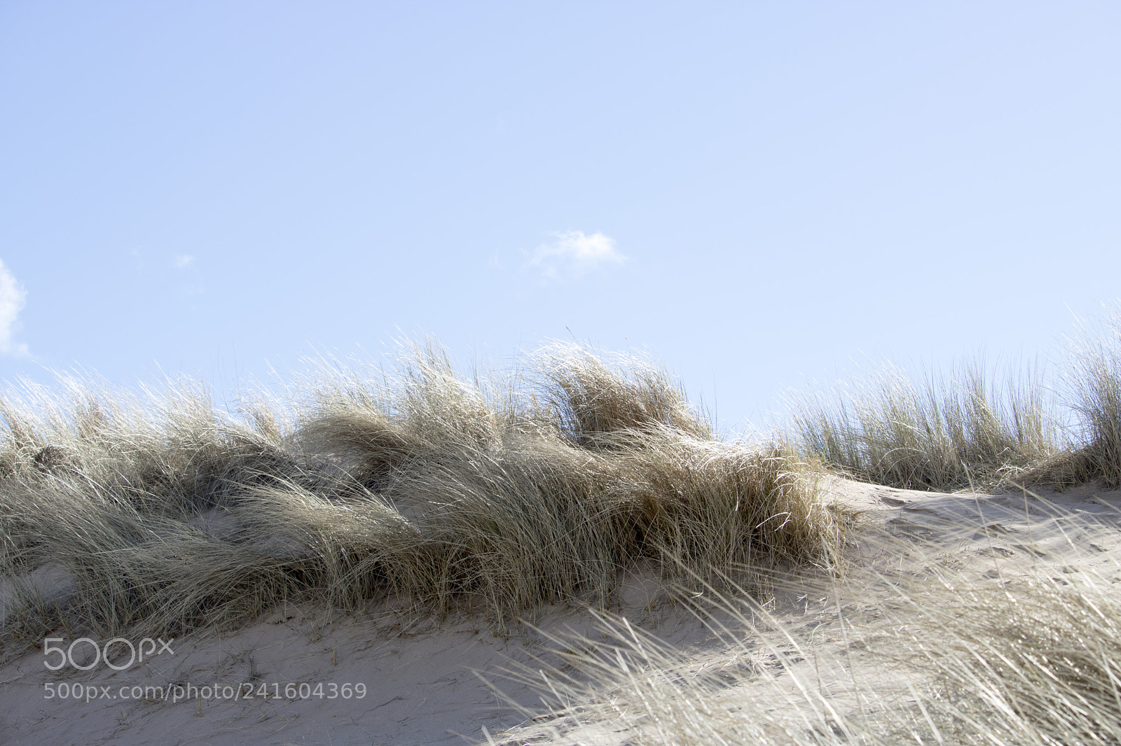 Canon EOS 750D (EOS Rebel T6i / EOS Kiss X8i) sample photo. Grassy sand dunes in photography