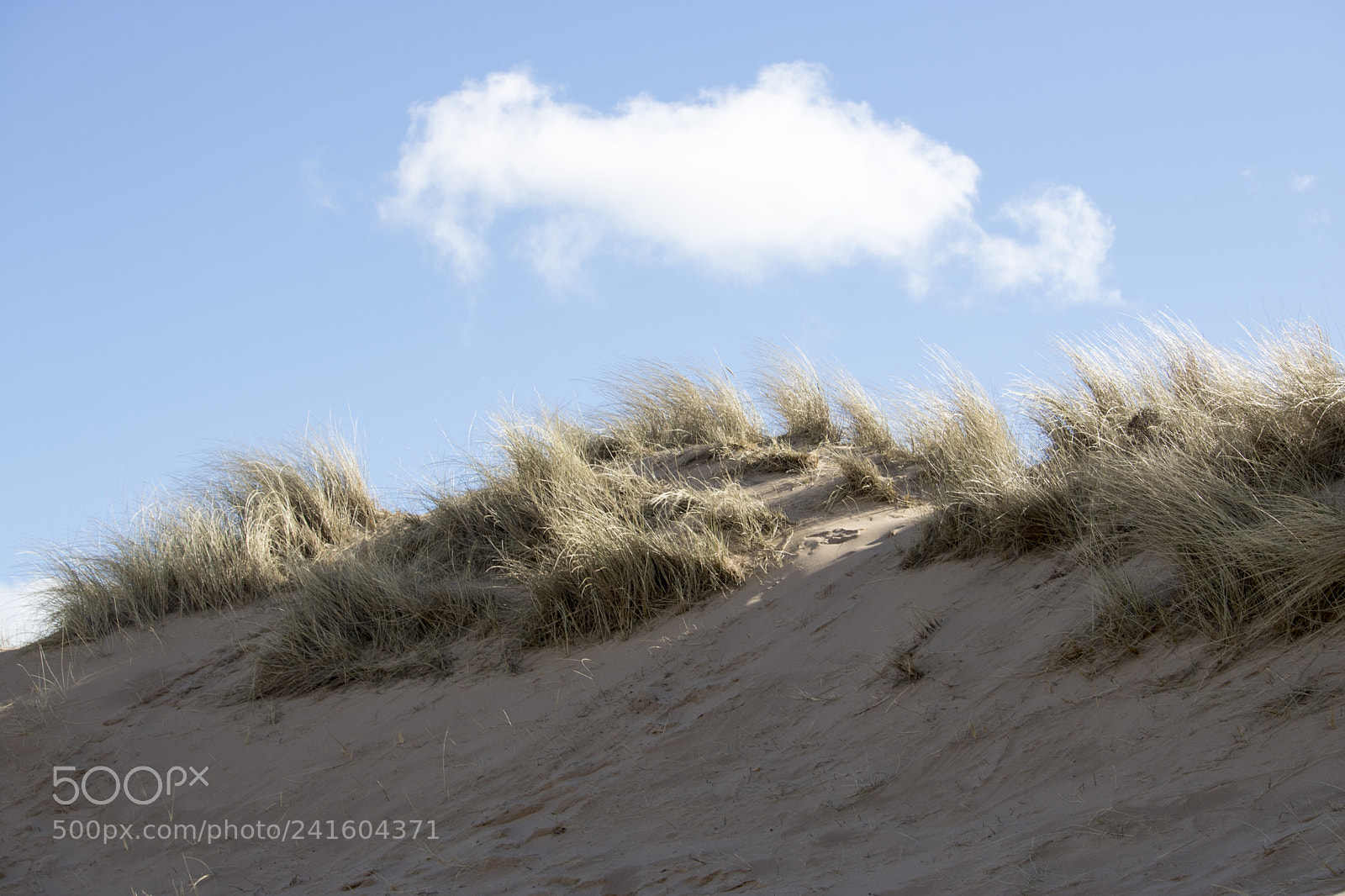 Canon EOS 750D (EOS Rebel T6i / EOS Kiss X8i) sample photo. Grassy sand dunes in photography