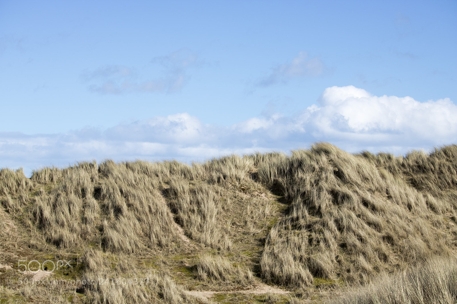 Canon EOS 750D (EOS Rebel T6i / EOS Kiss X8i) sample photo. Grassy sand dunes in photography