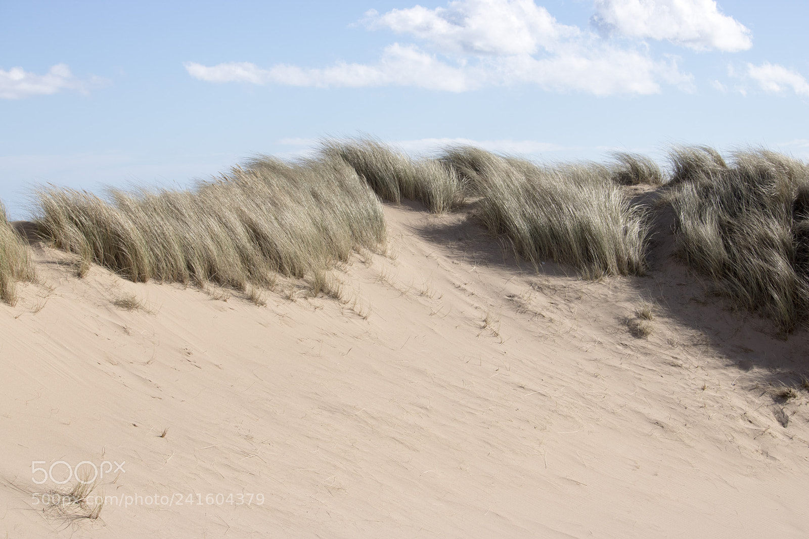 Canon EOS 750D (EOS Rebel T6i / EOS Kiss X8i) sample photo. Grassy sand dunes in photography