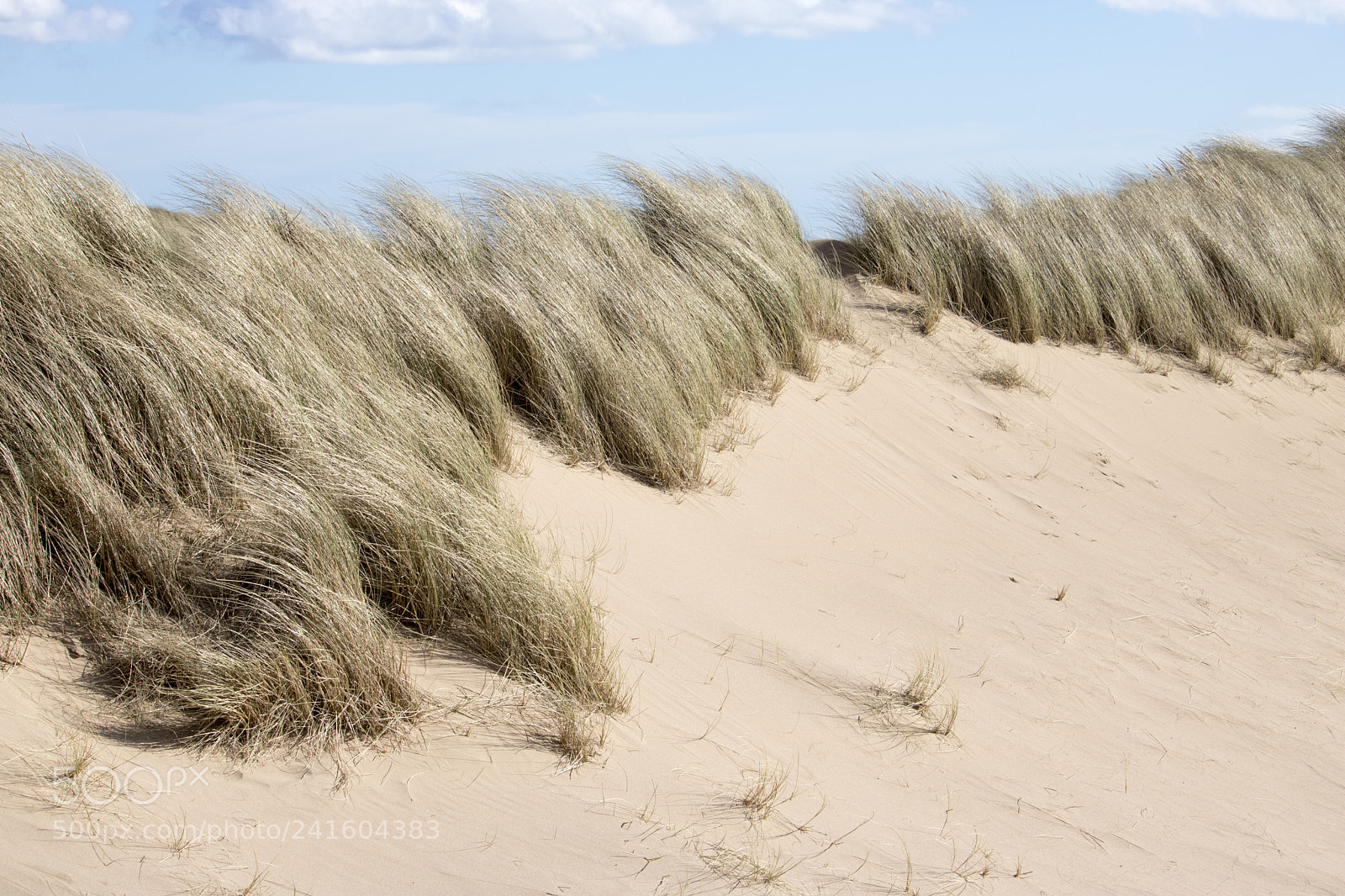 Canon EOS 750D (EOS Rebel T6i / EOS Kiss X8i) sample photo. Grassy sand dunes in photography