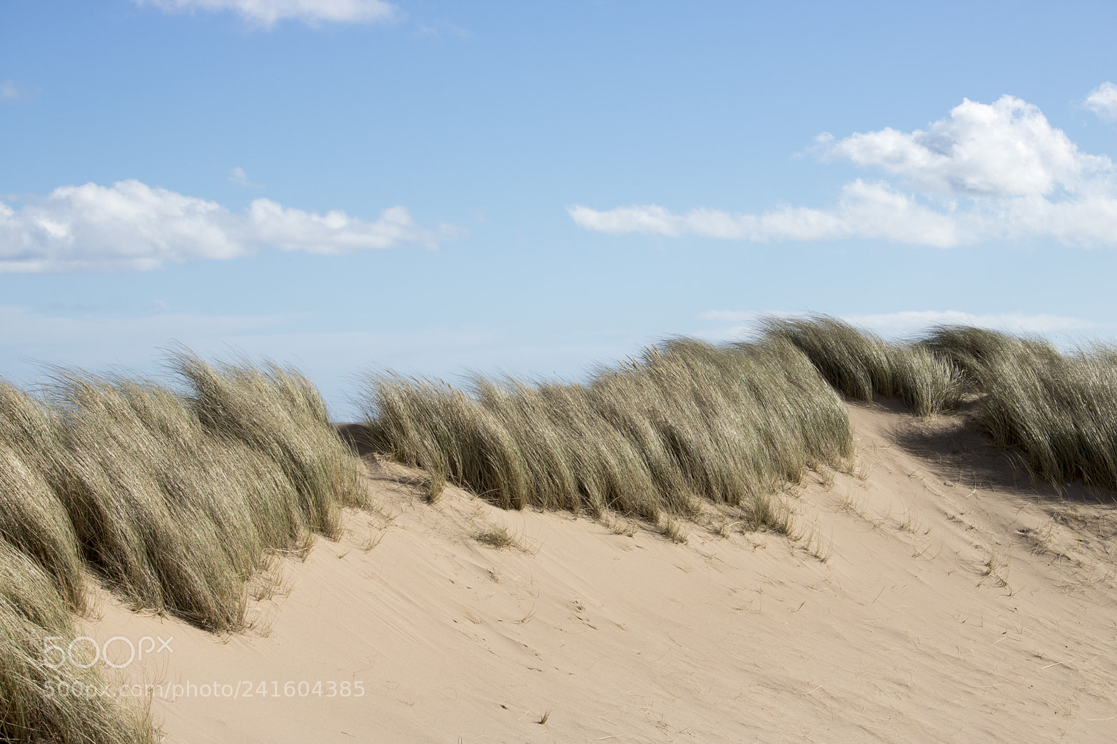 Canon EOS 750D (EOS Rebel T6i / EOS Kiss X8i) sample photo. Grassy sand dunes in photography