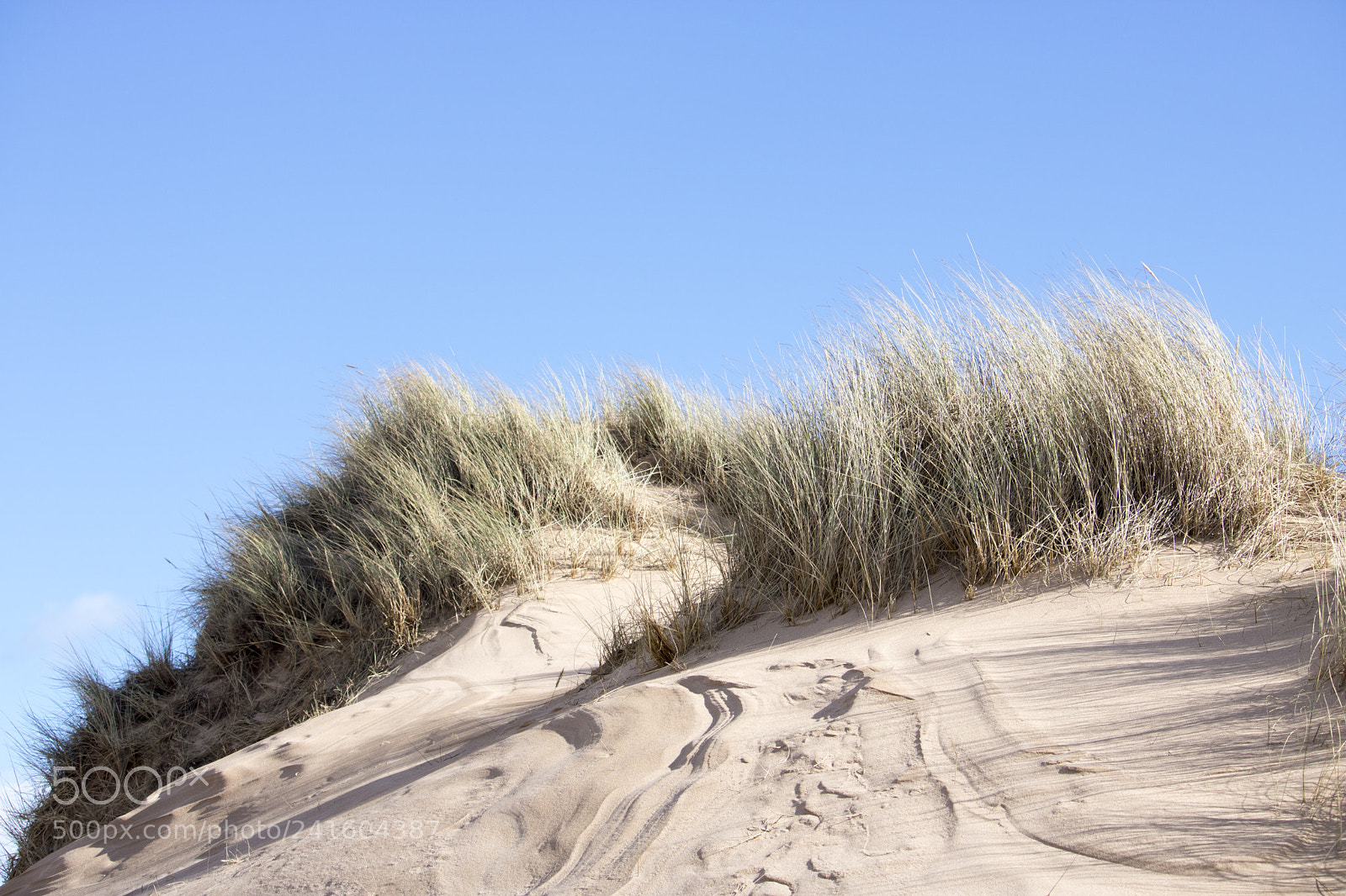 Canon EOS 750D (EOS Rebel T6i / EOS Kiss X8i) sample photo. Grassy sand dunes in photography