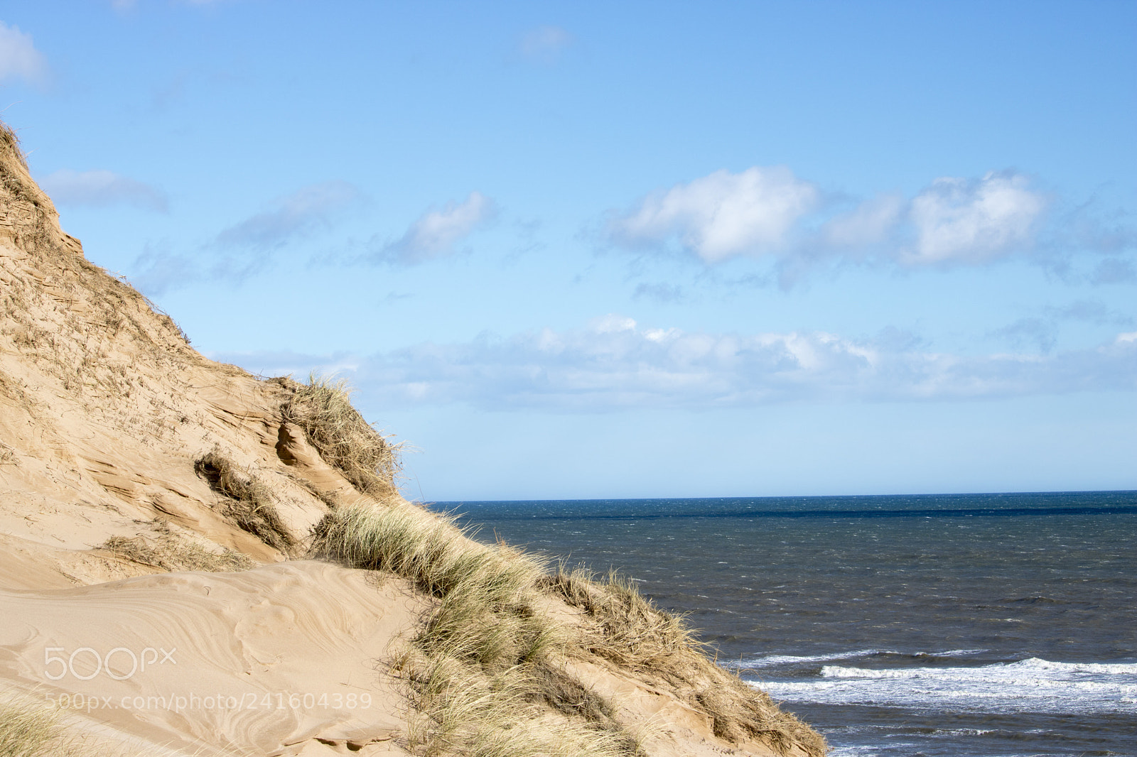Canon EOS 750D (EOS Rebel T6i / EOS Kiss X8i) sample photo. Grassy sand dunes in photography